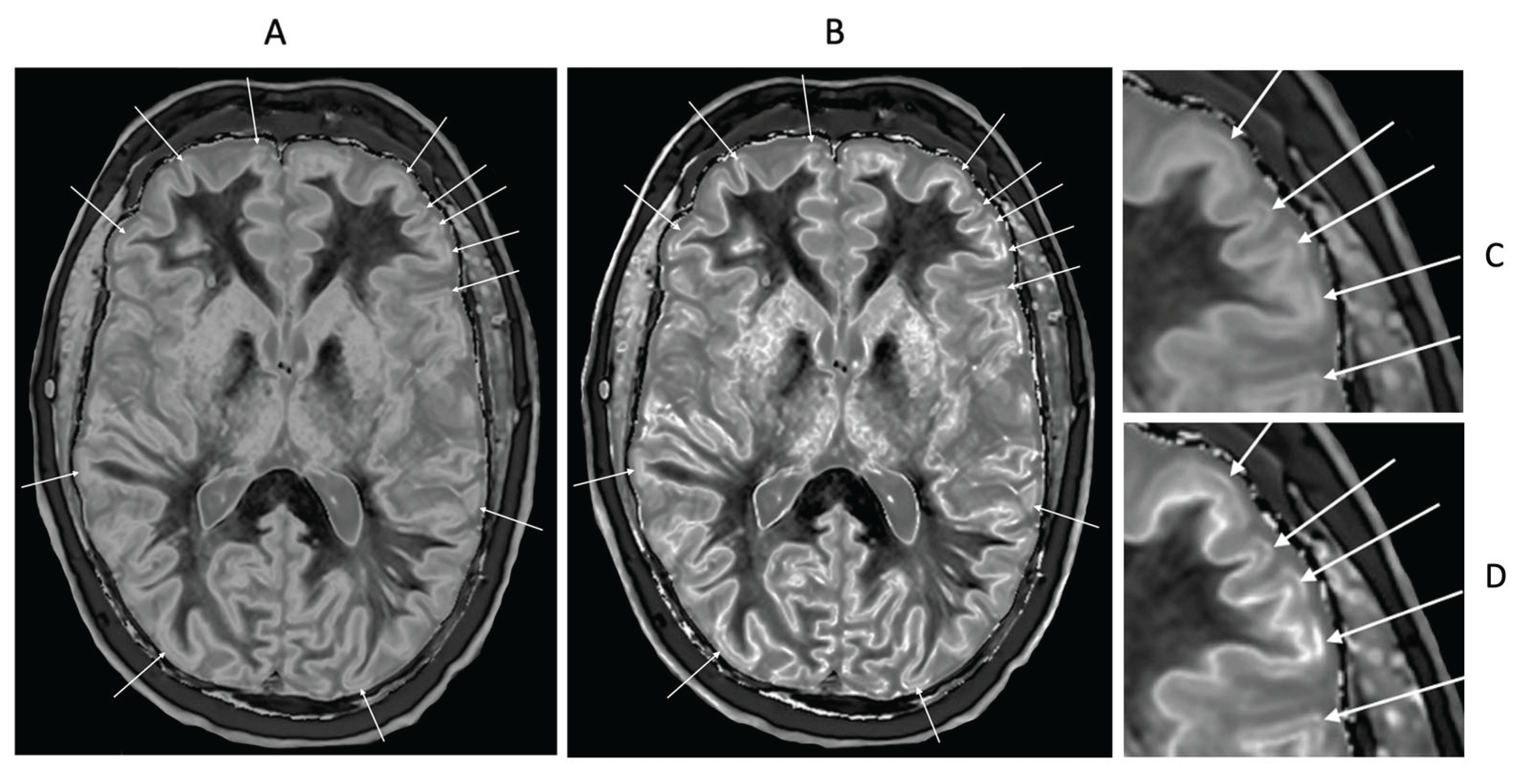 Preprints 161776 g022