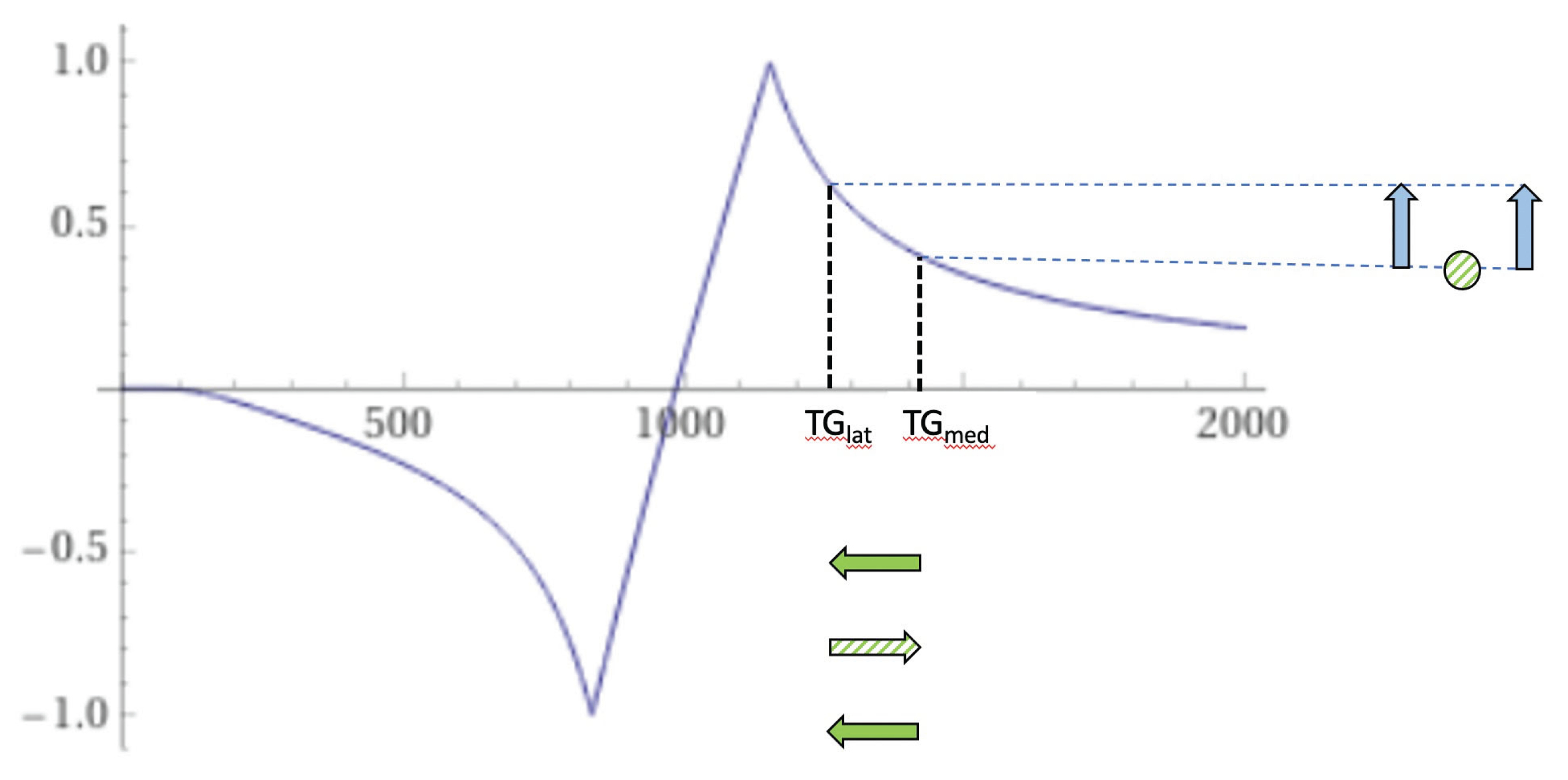 Preprints 161776 g024