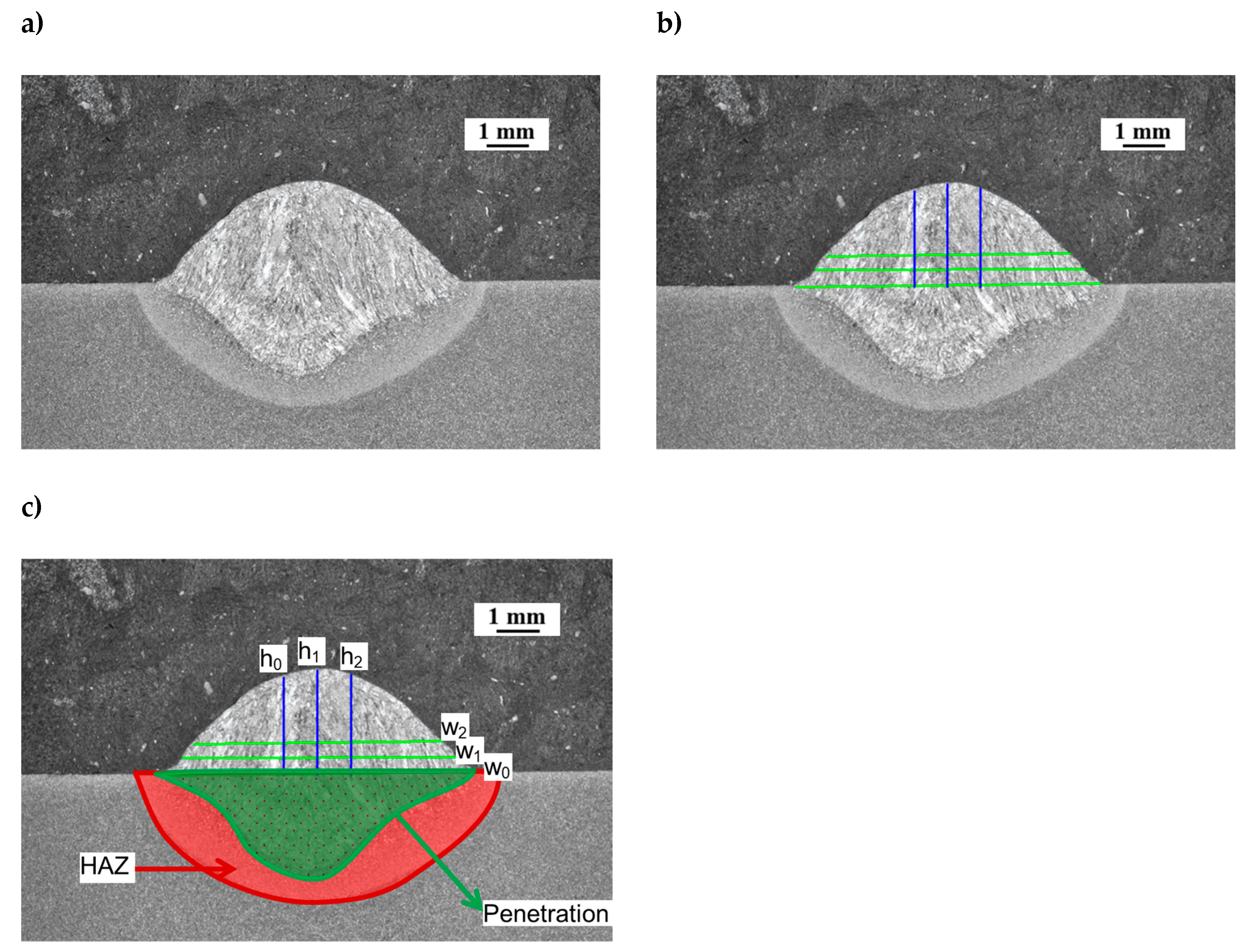 Preprints 144746 g001