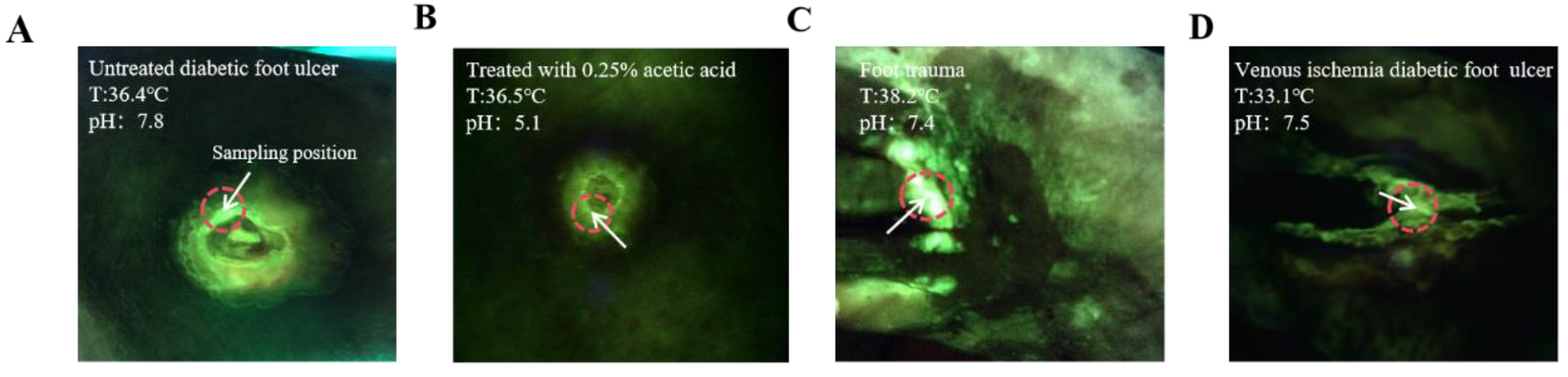 Preprints 140902 g001