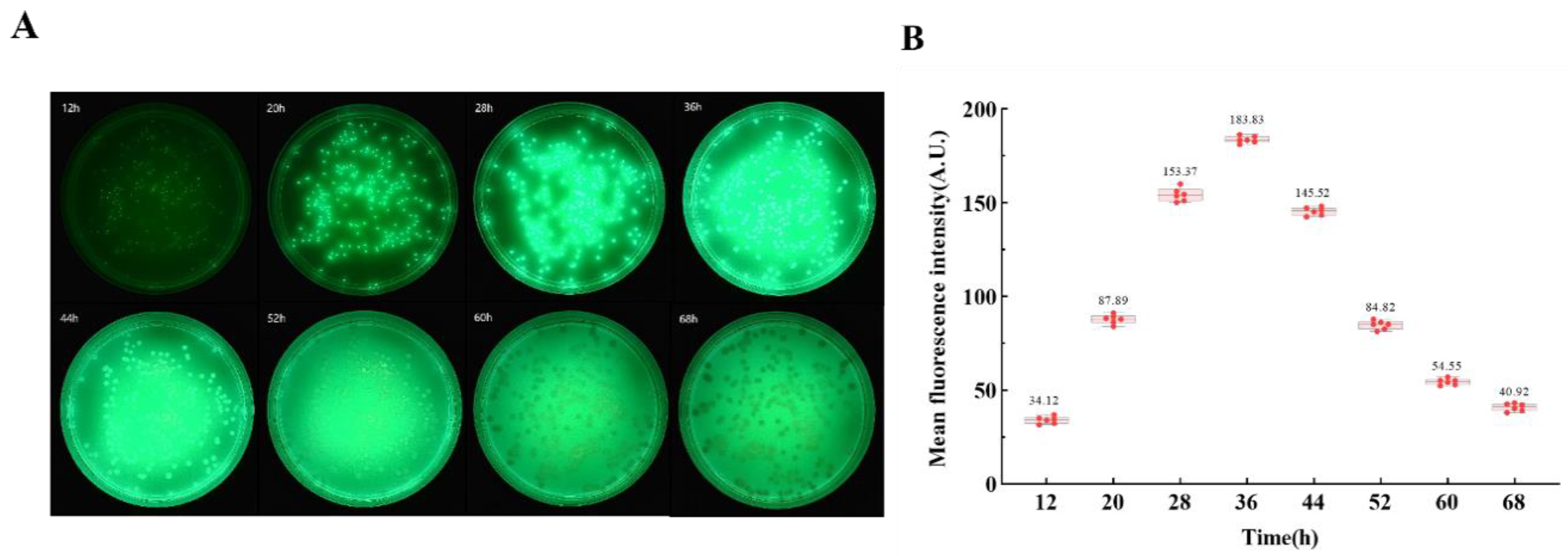 Preprints 140902 g002
