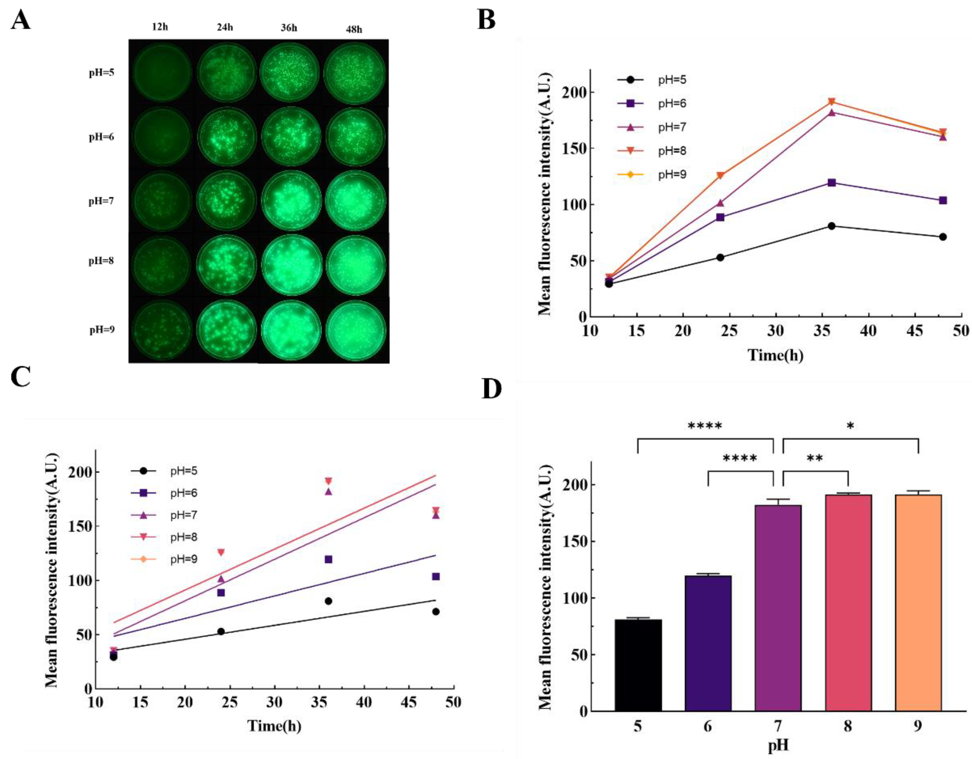Preprints 140902 g004