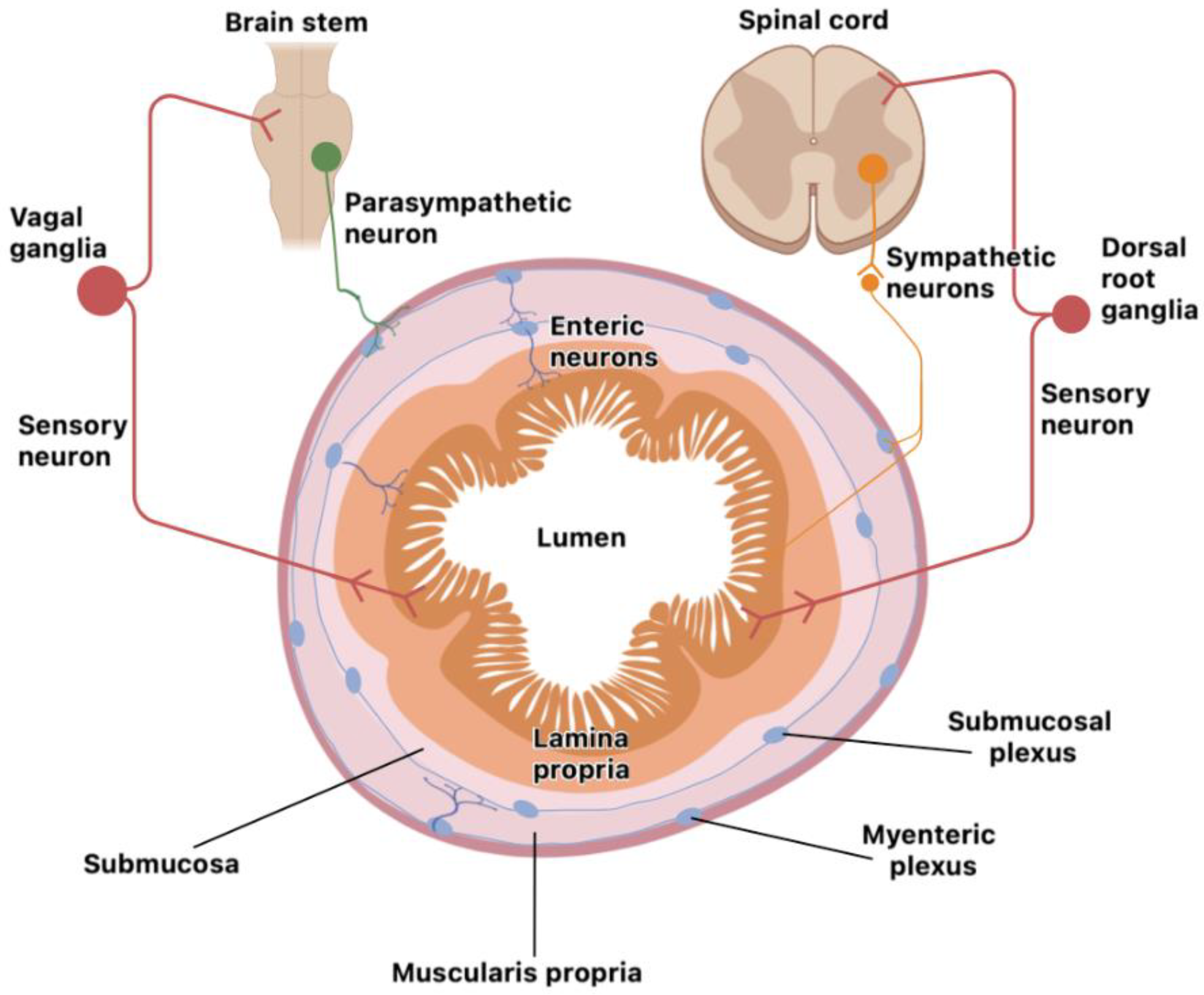 Preprints 114748 g001