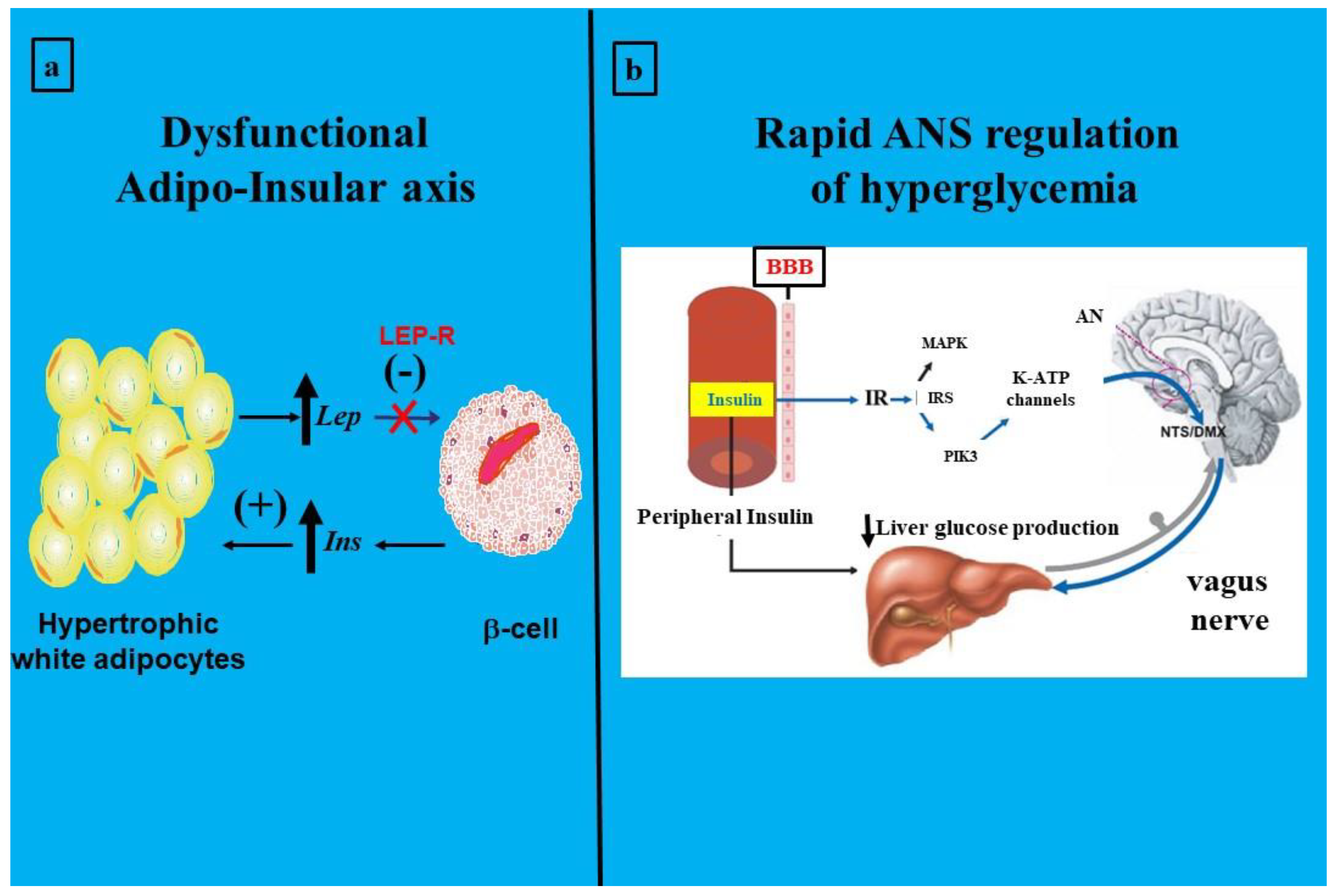 Preprints 114748 g003
