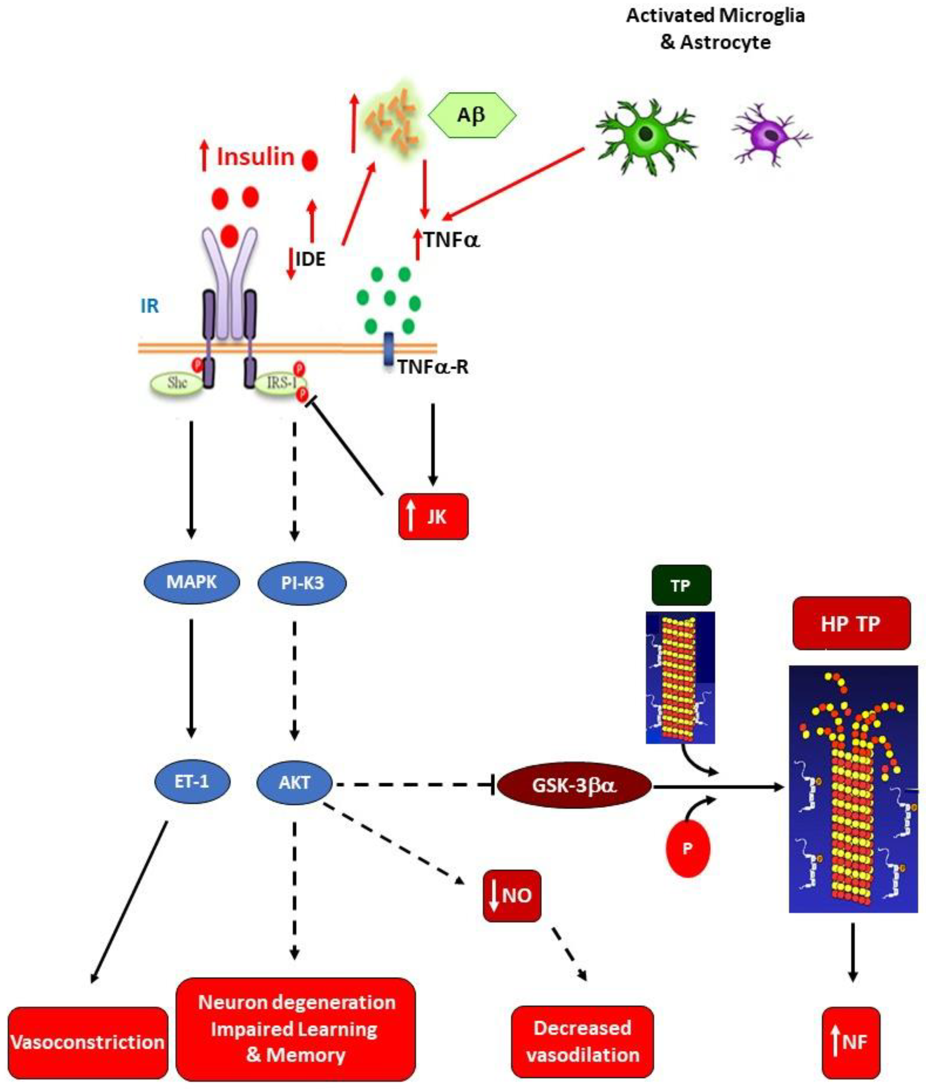 Preprints 114748 g004