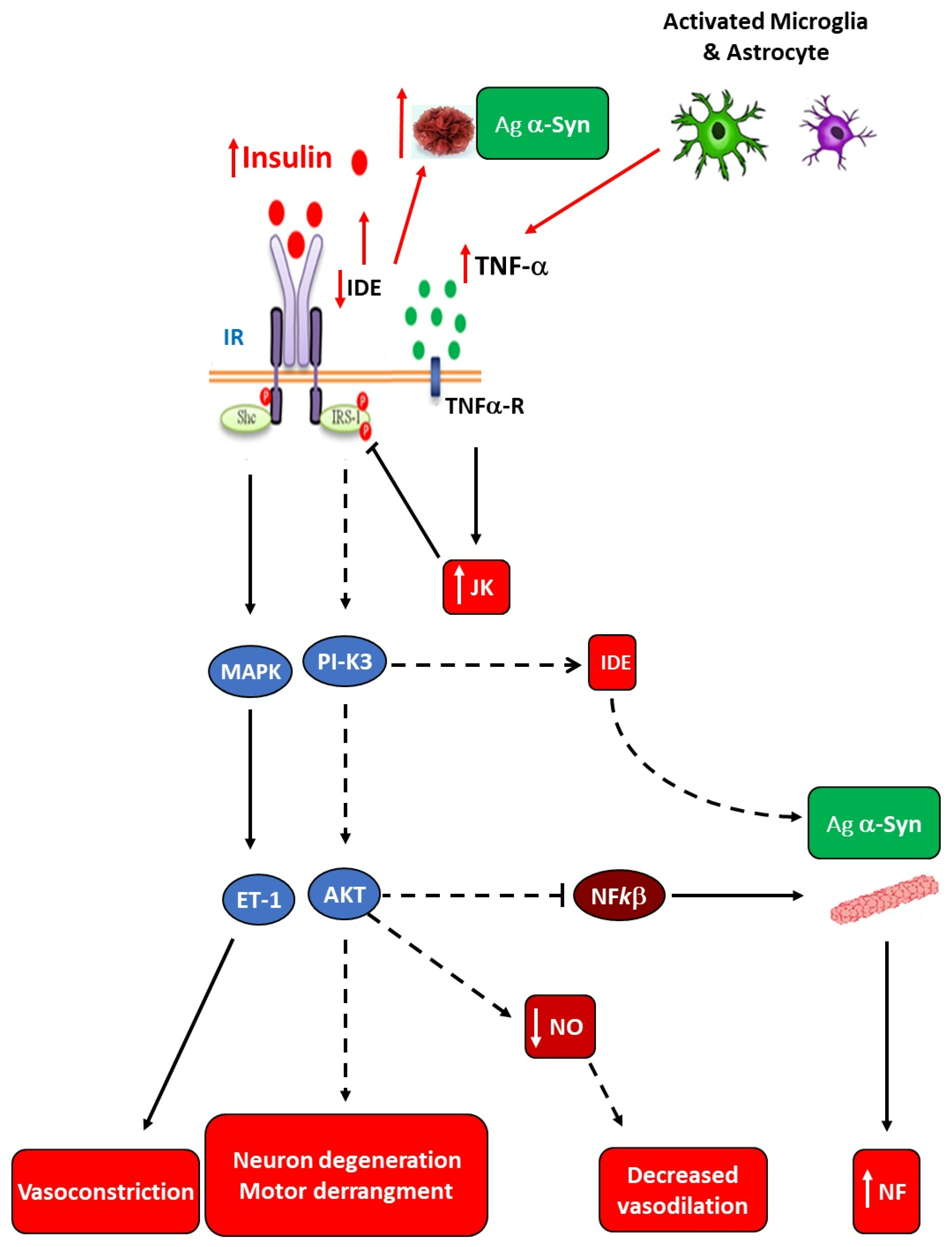 Preprints 114748 g005