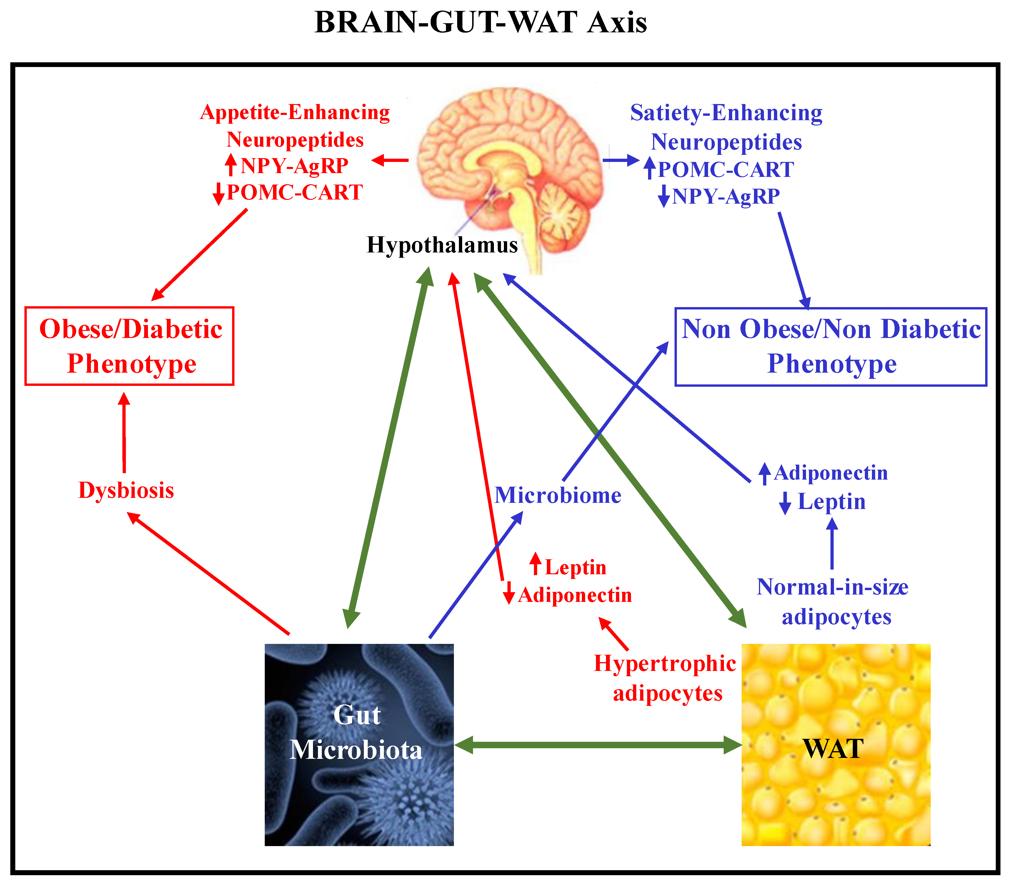 Preprints 114748 g007