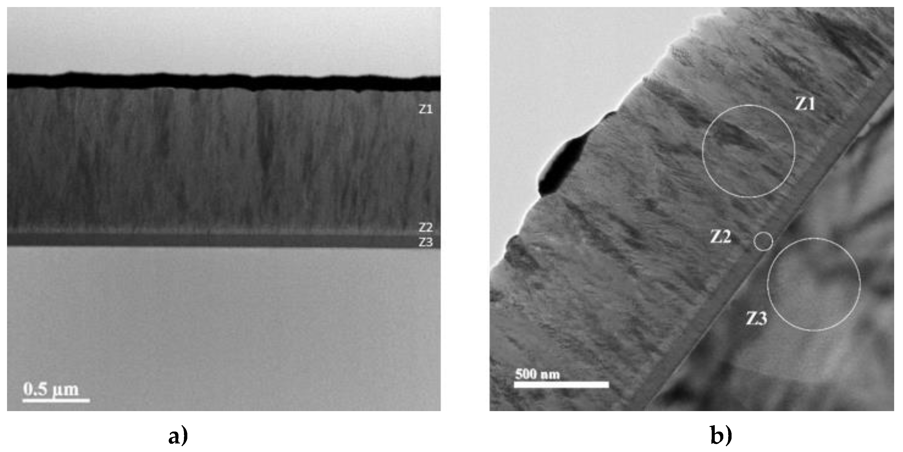 Preprints 92358 g003