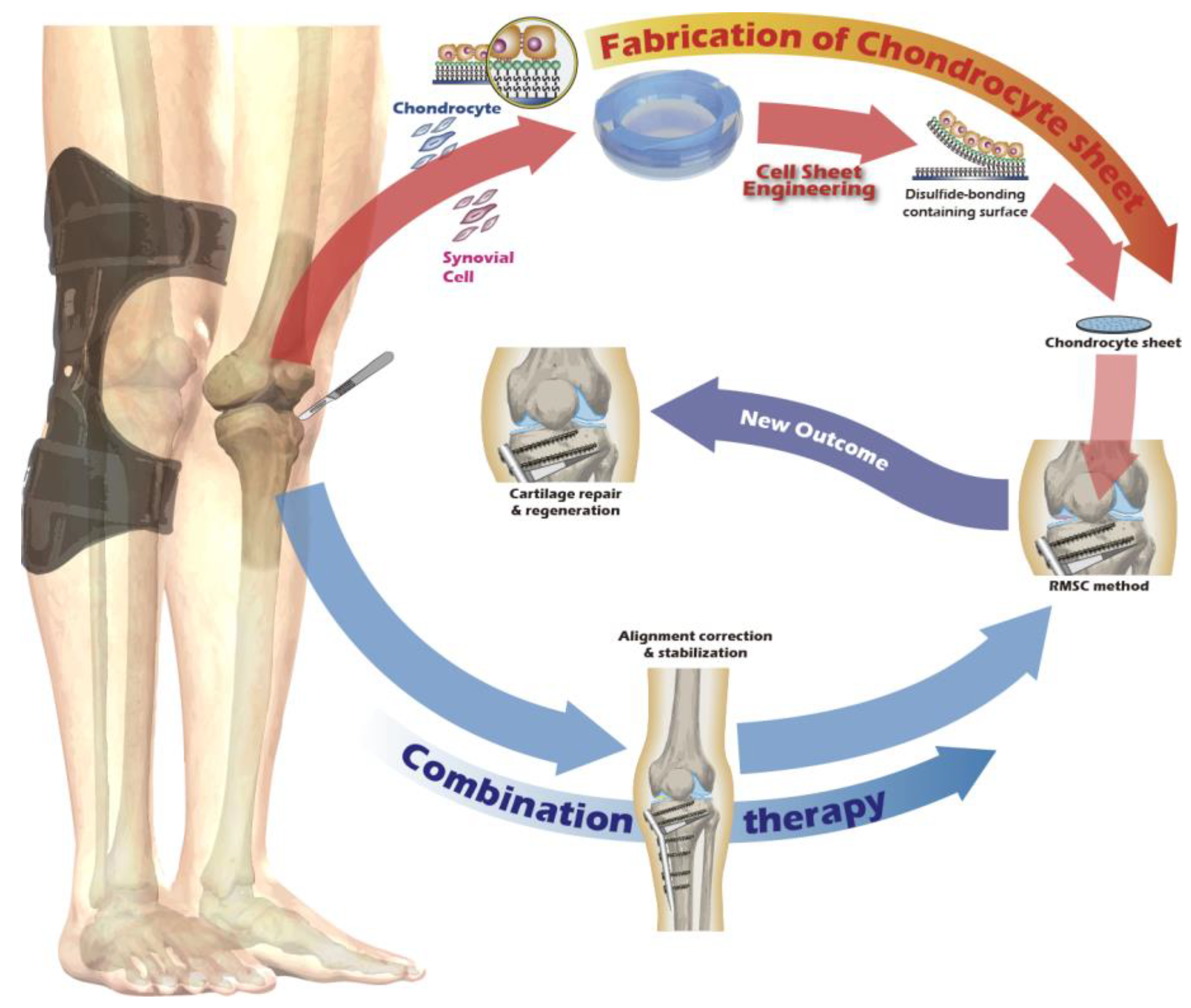 Preprints 182094 g001