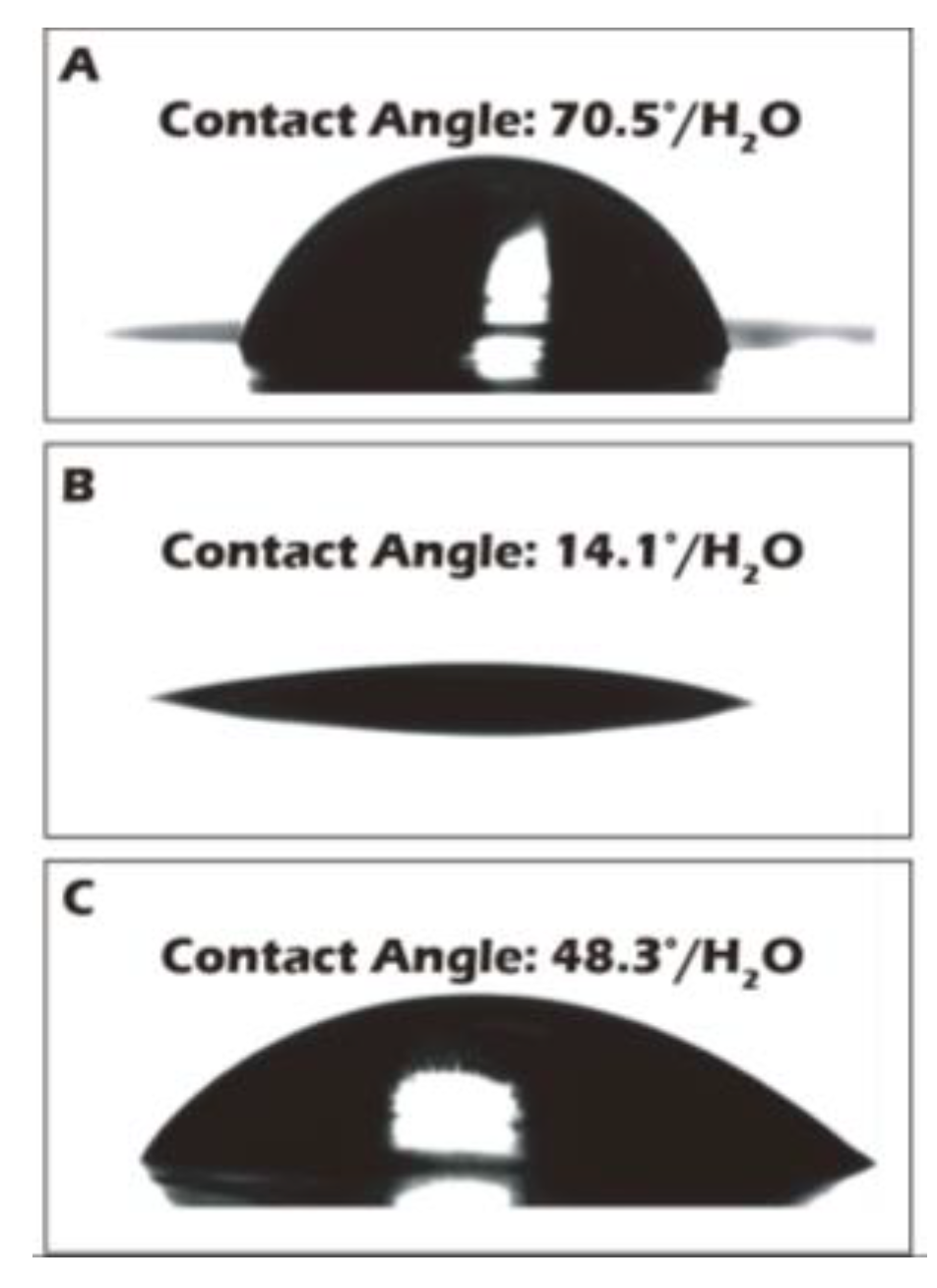 Preprints 182094 g007