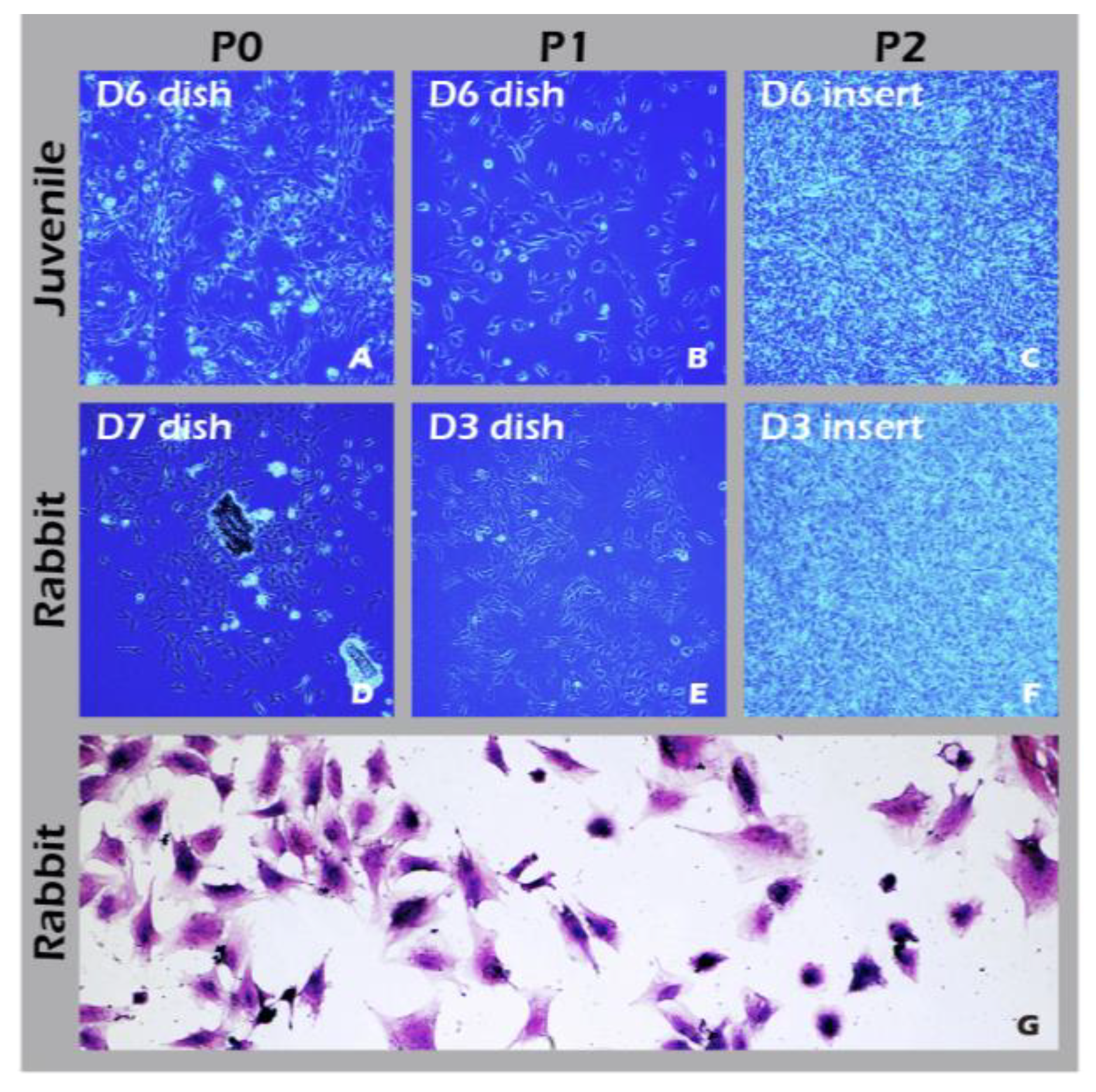 Preprints 182094 g012