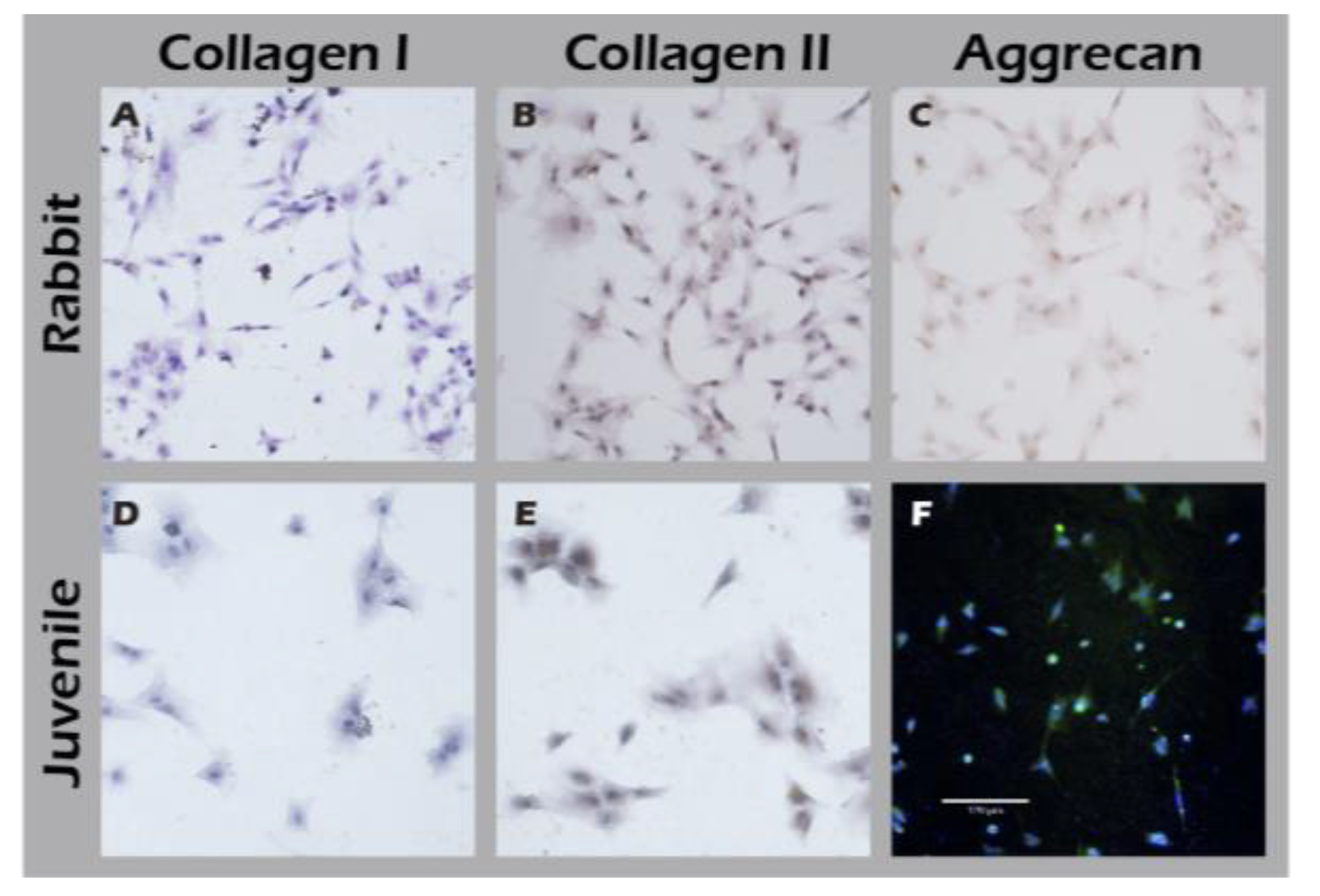 Preprints 182094 g013
