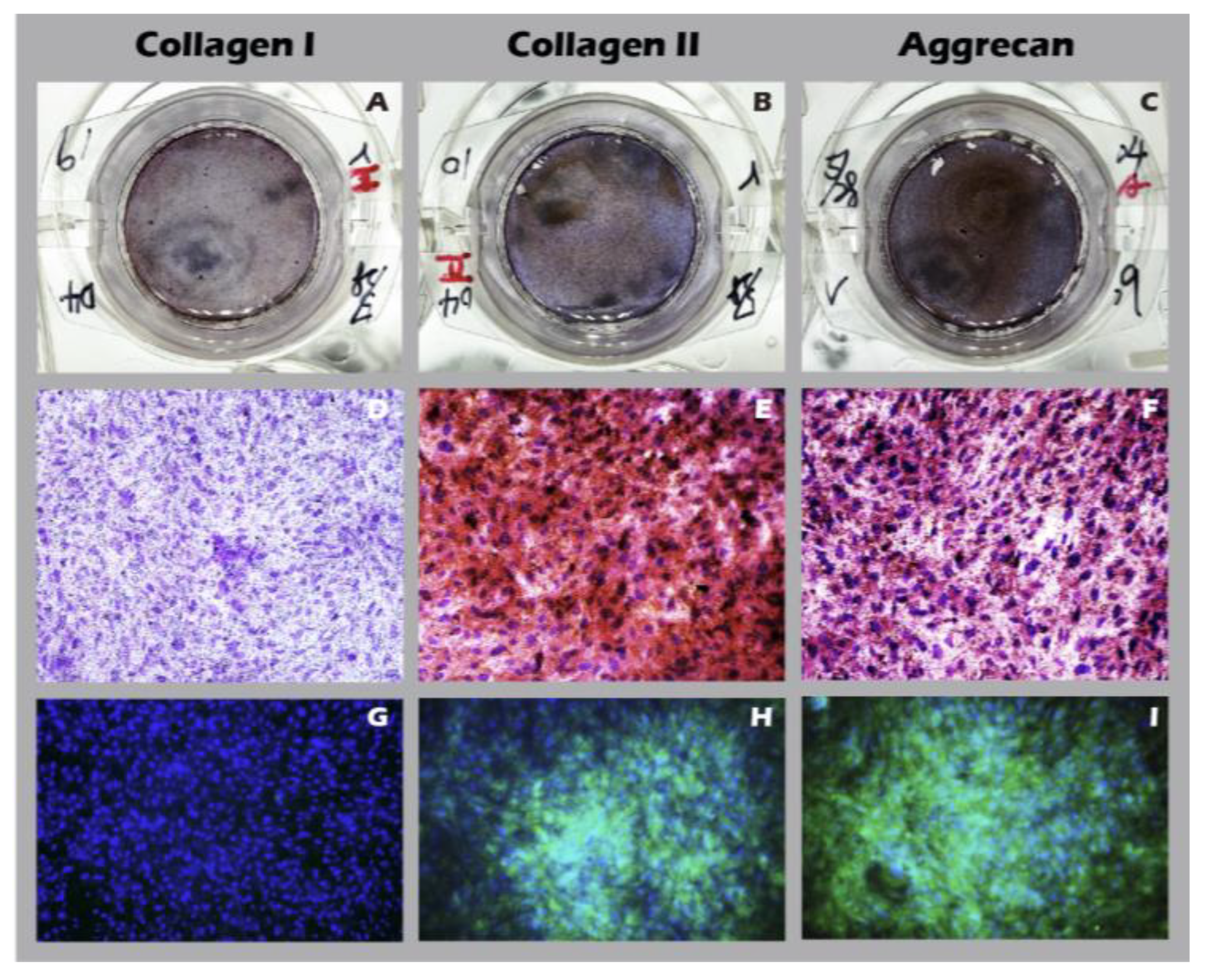 Preprints 182094 g015