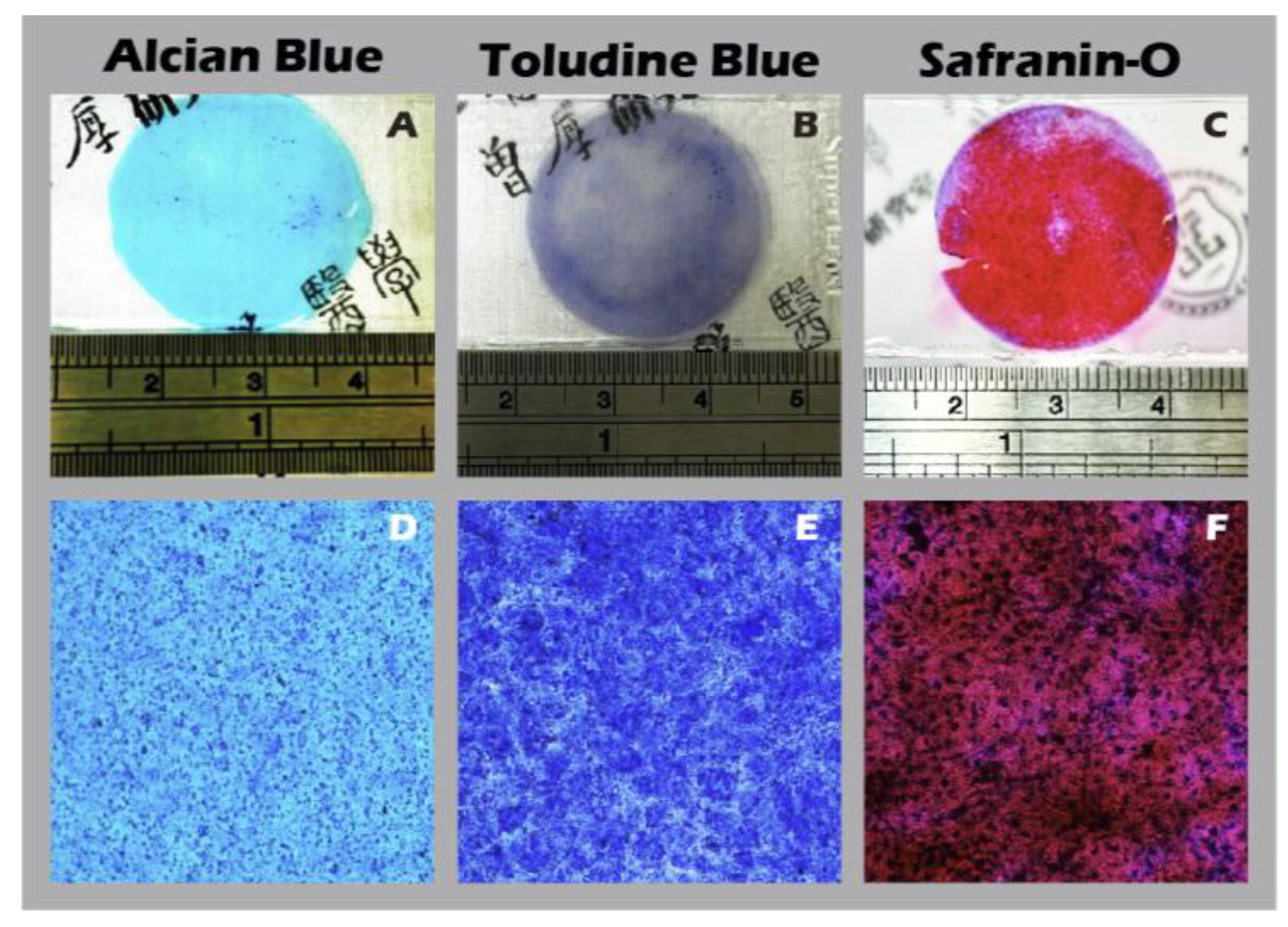 Preprints 182094 g016
