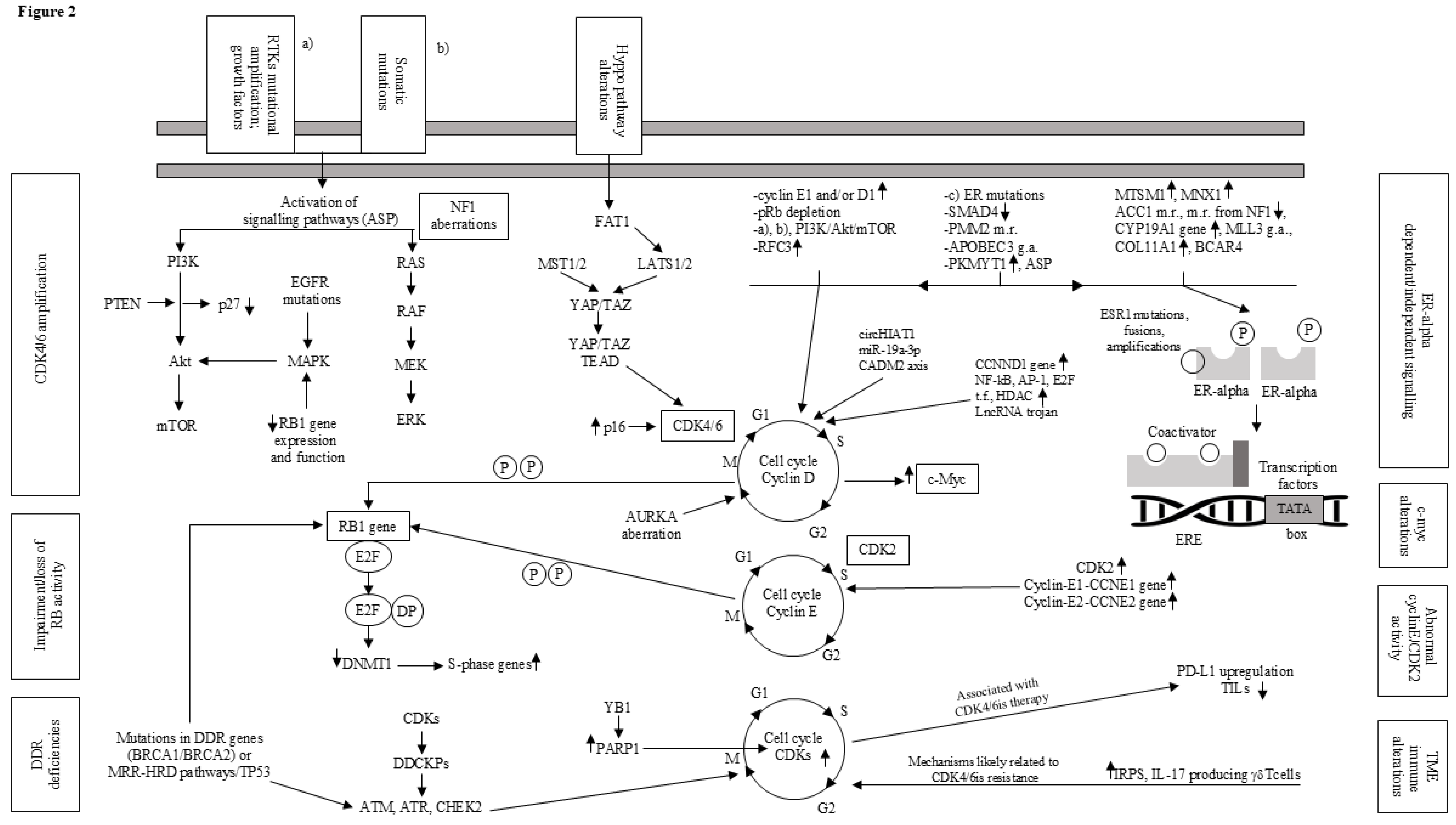 Preprints 152683 g002
