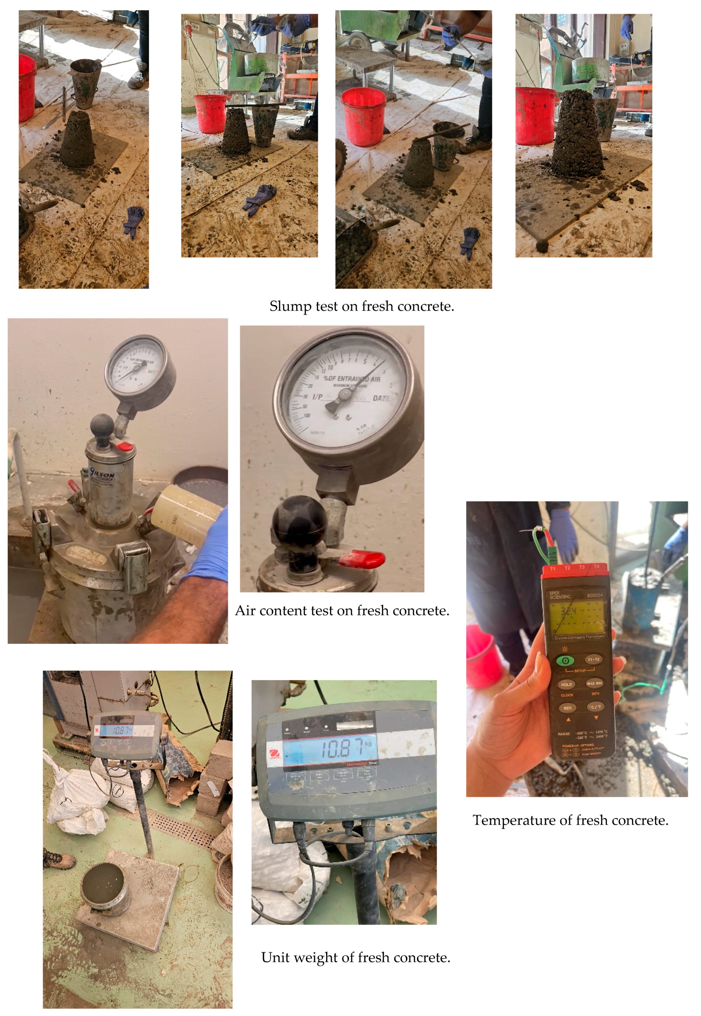 Preprints 163051 g003