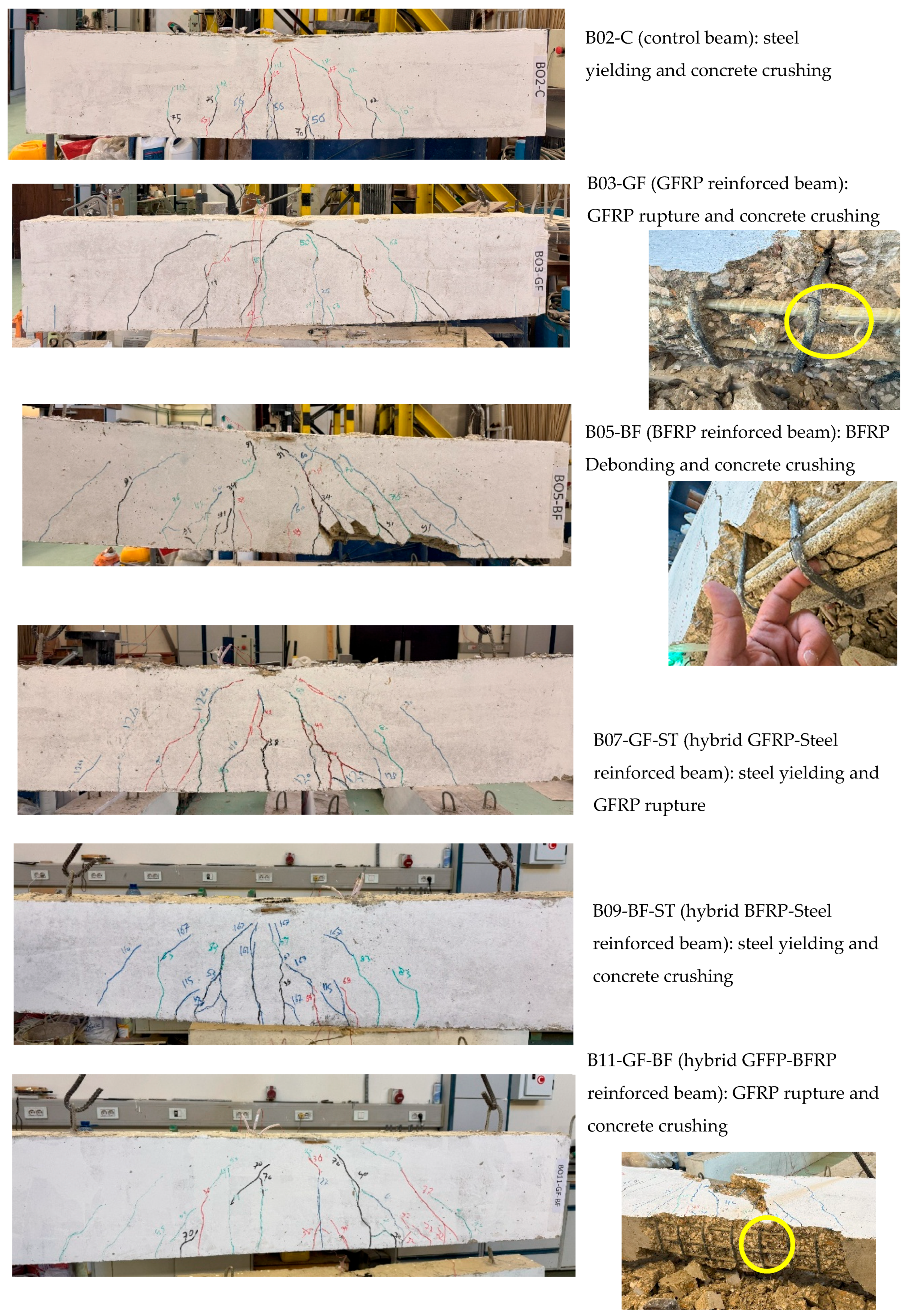 Preprints 163051 g008