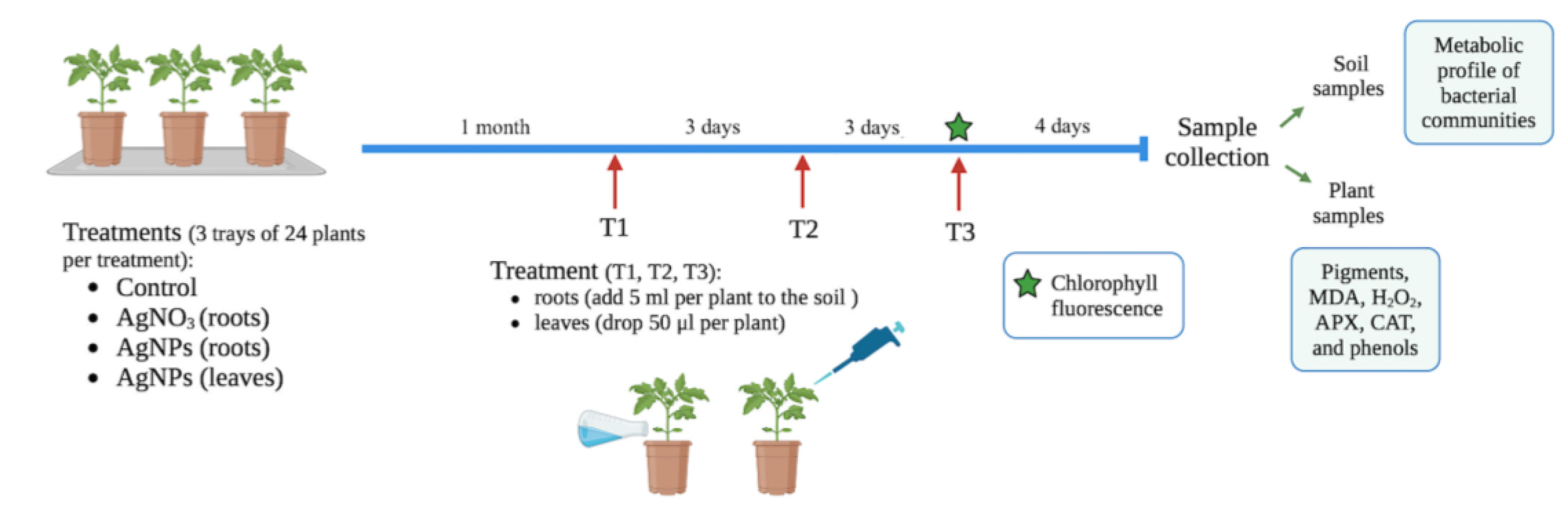 Preprints 158305 g009