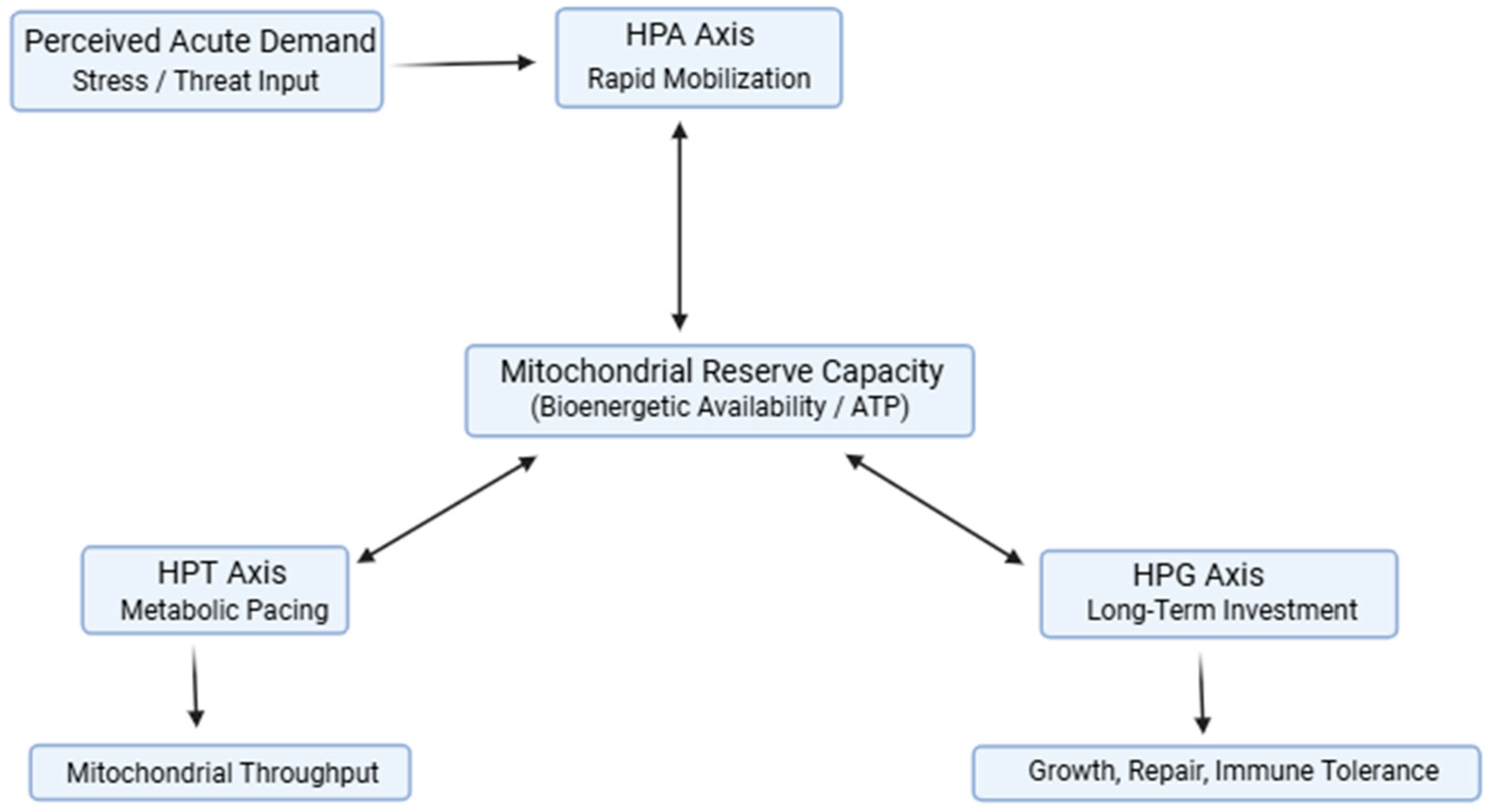 Preprints 191478 g001