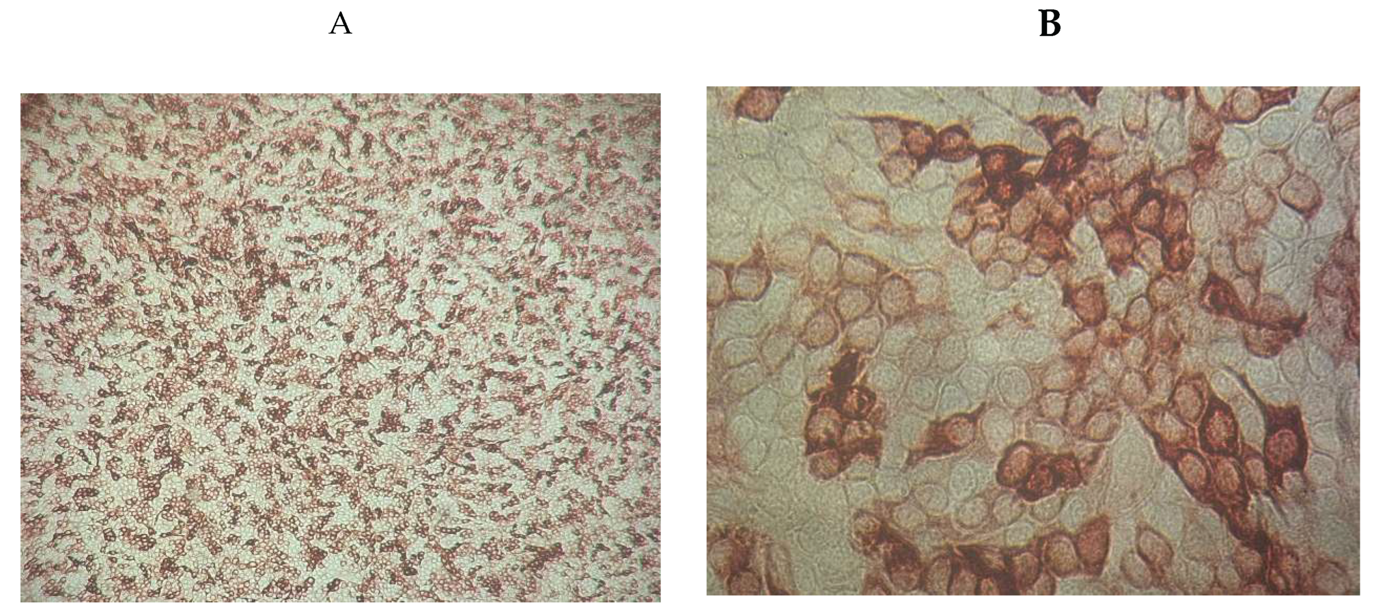 Preprints 171314 g003