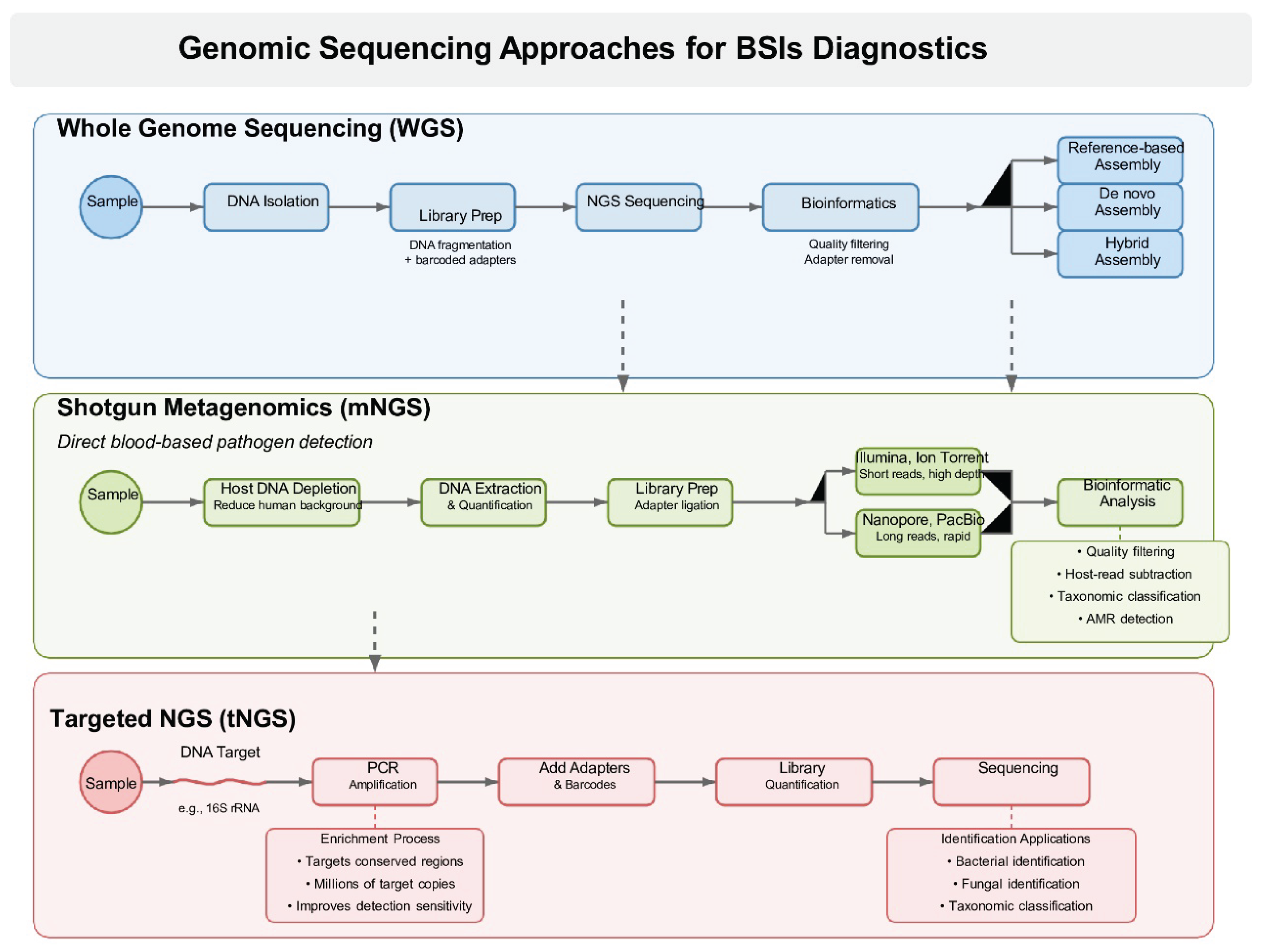Preprints 178580 g001