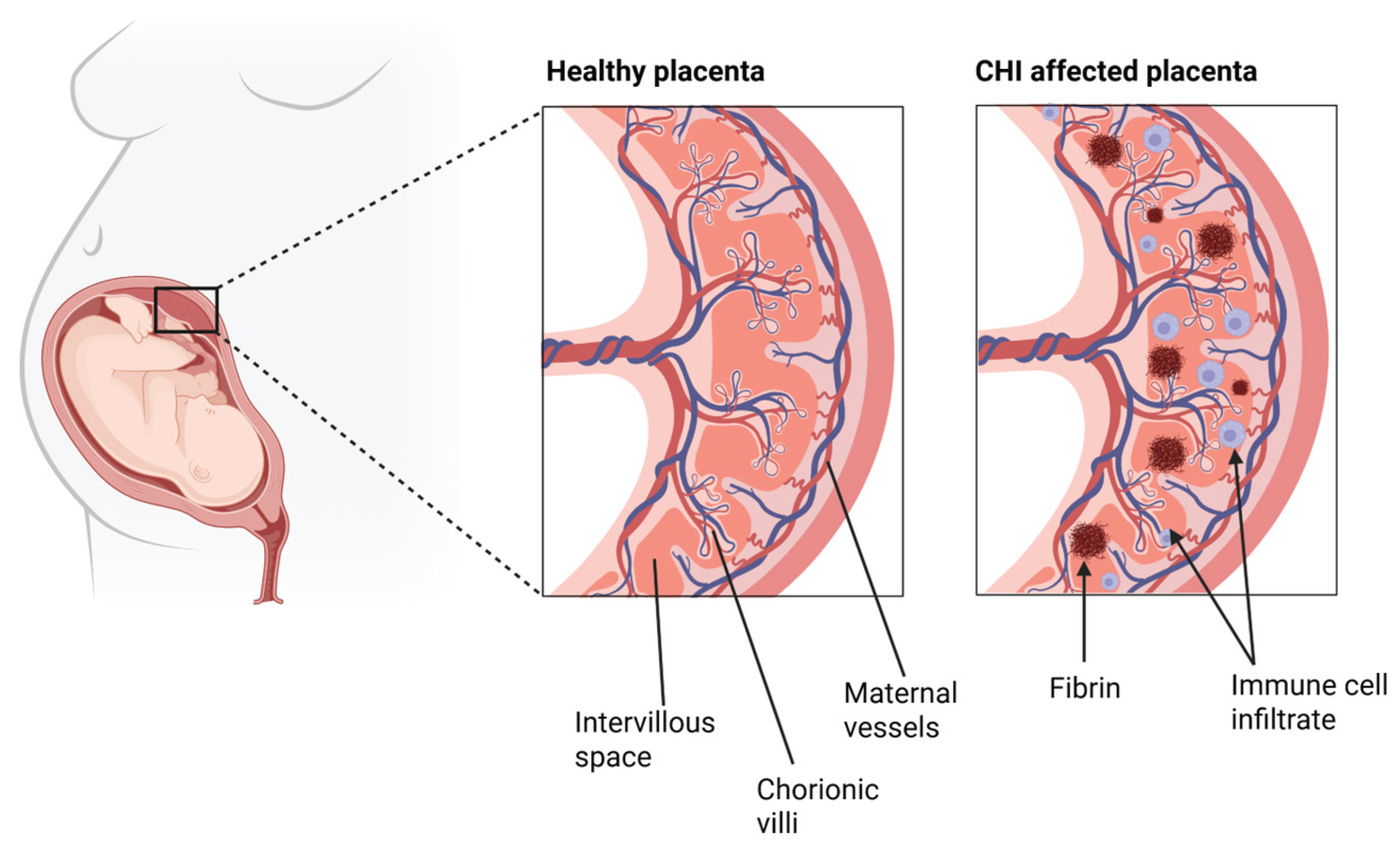Preprints 165751 g001