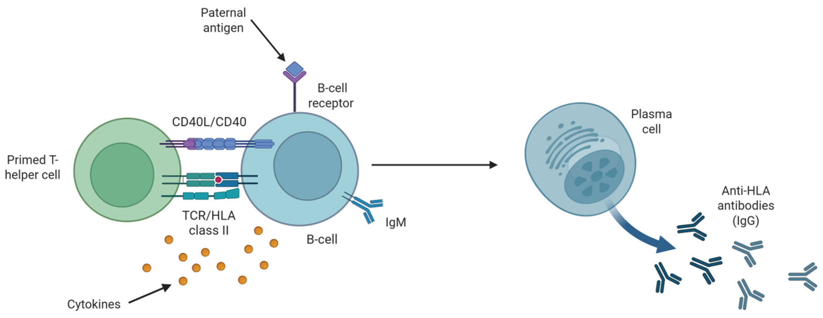 Preprints 165751 g002