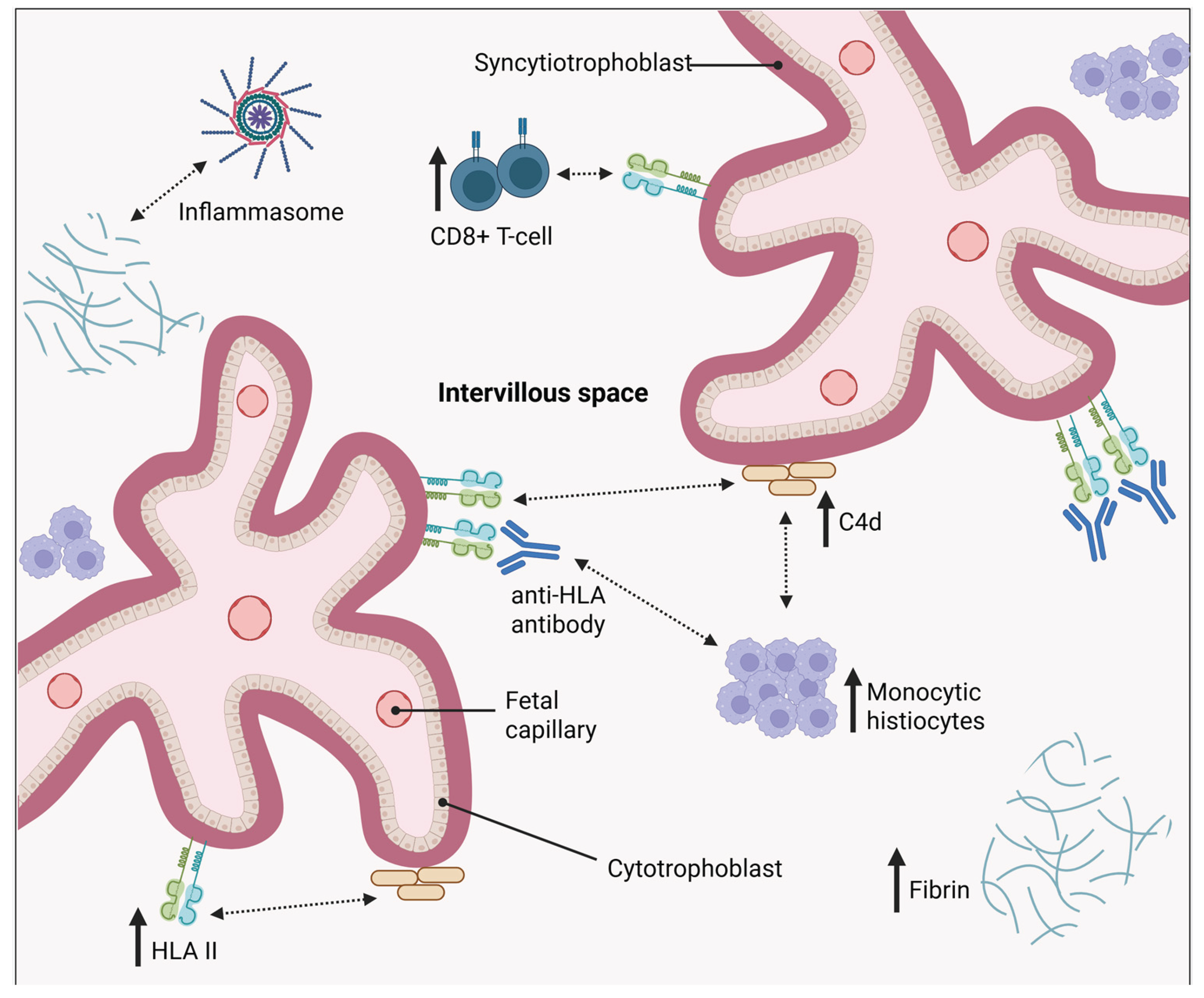 Preprints 165751 g003