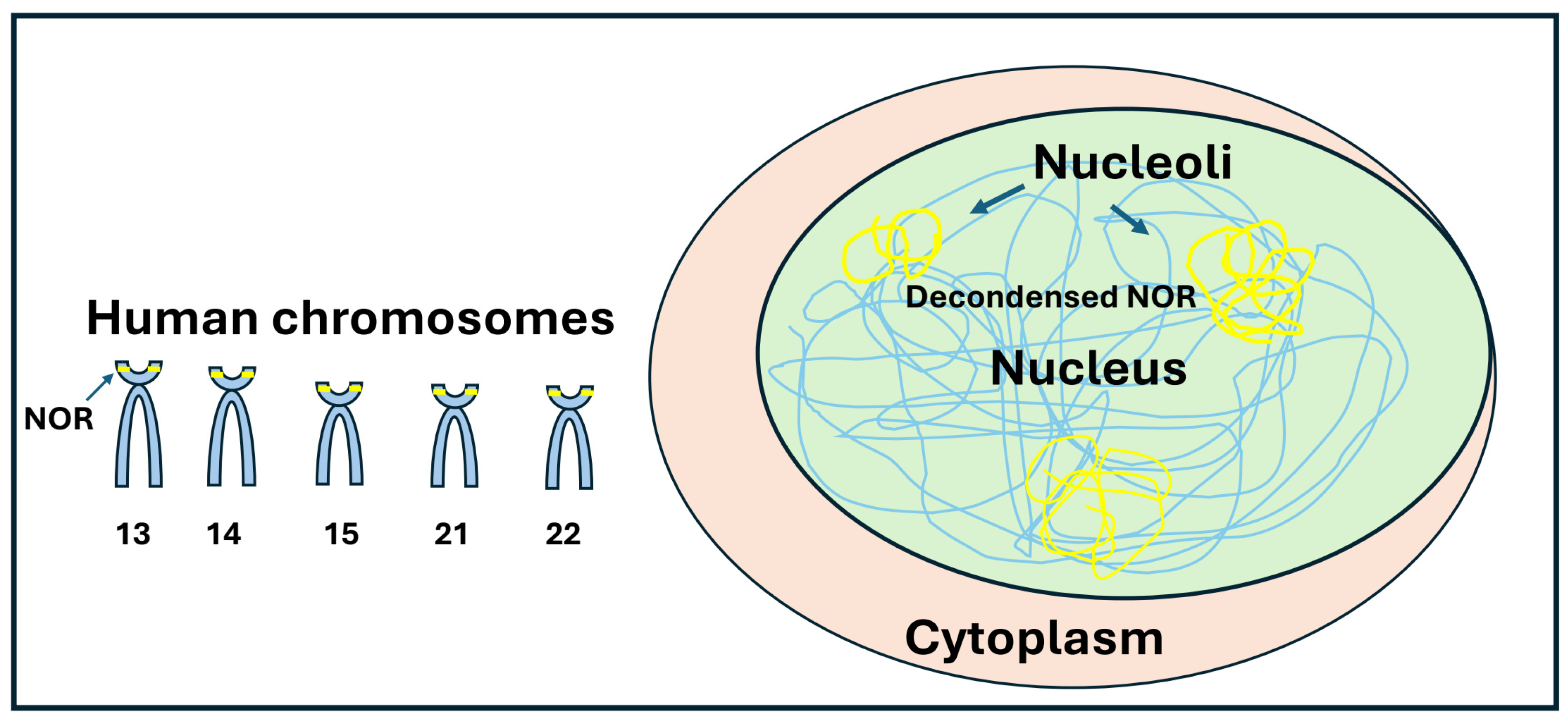 Preprints 153003 g001