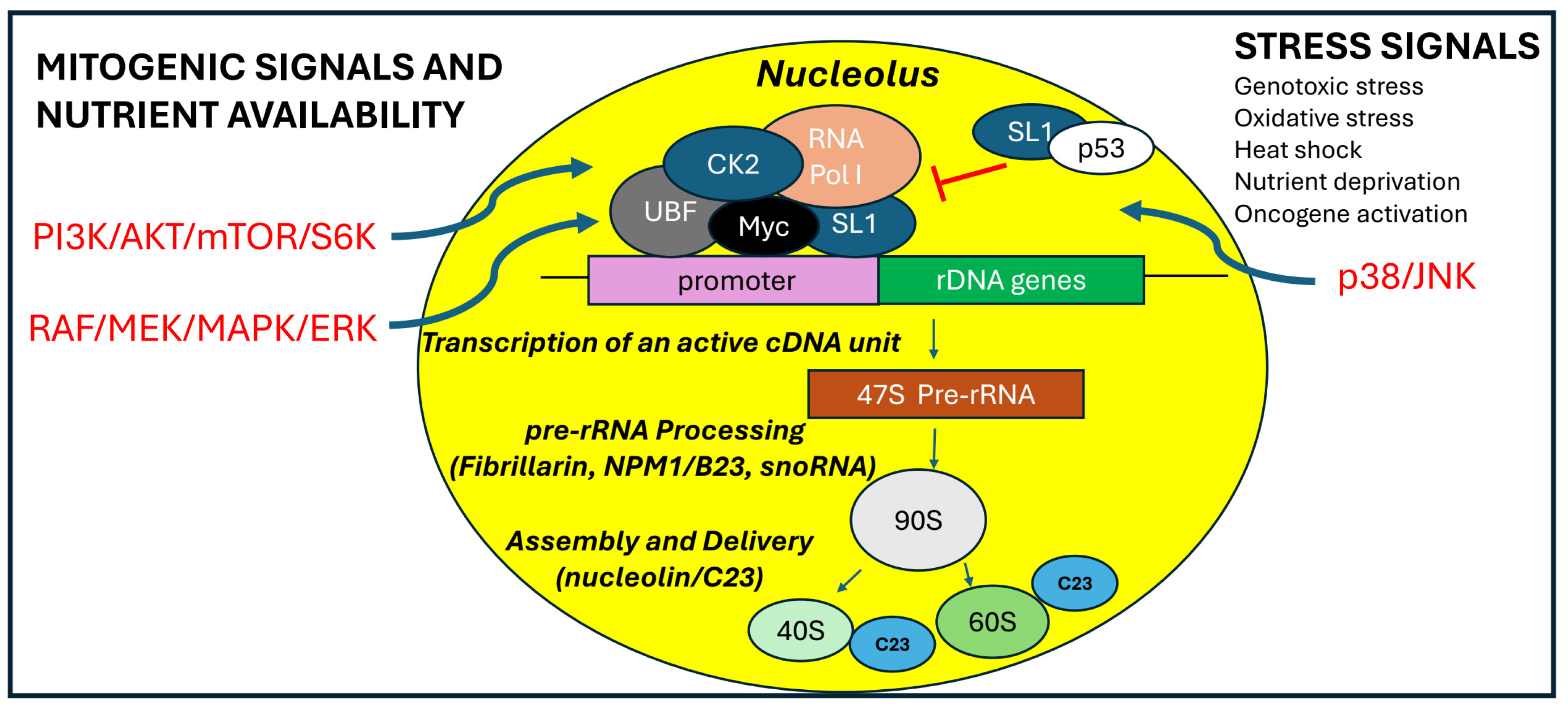 Preprints 153003 g003