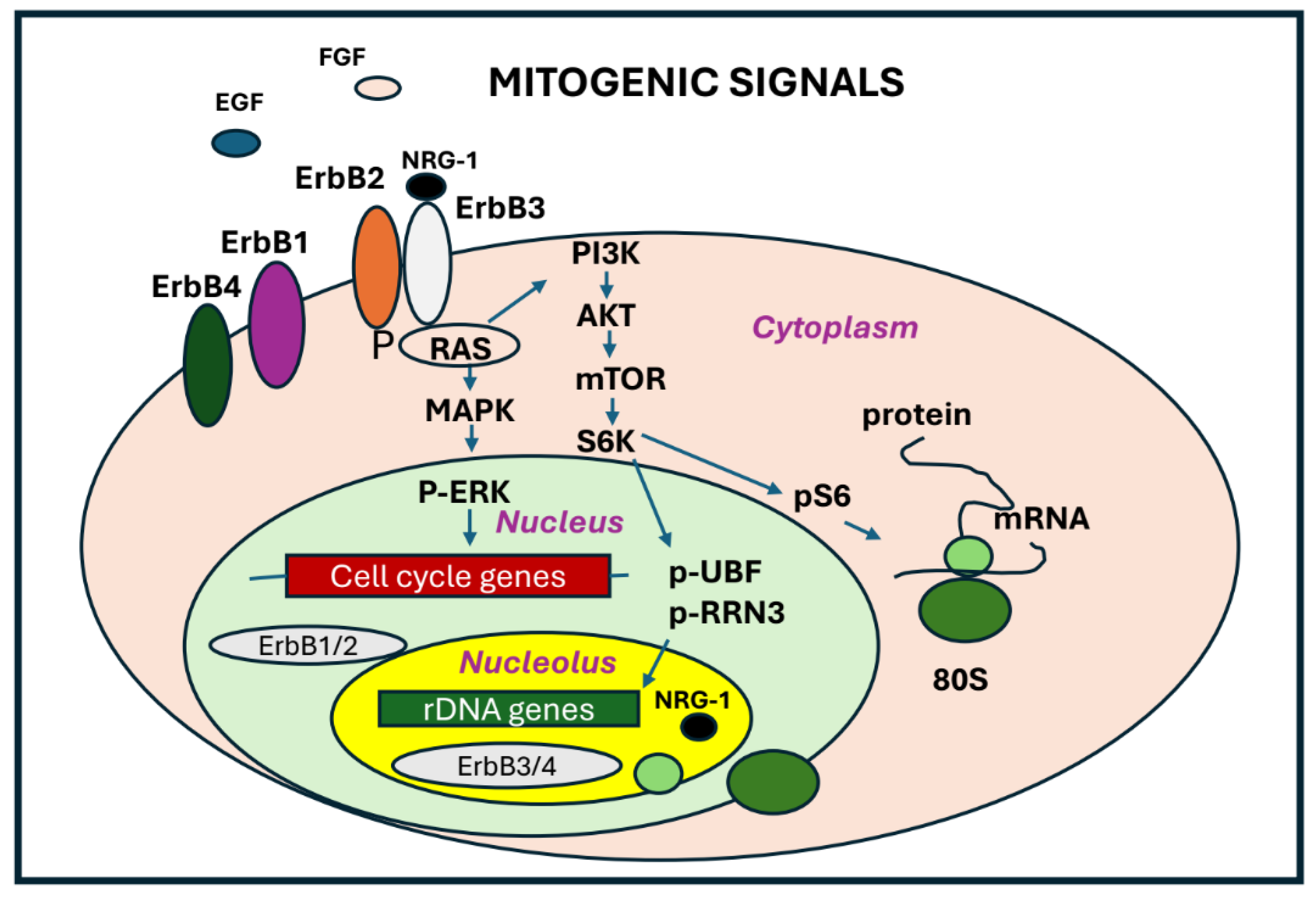 Preprints 153003 g004