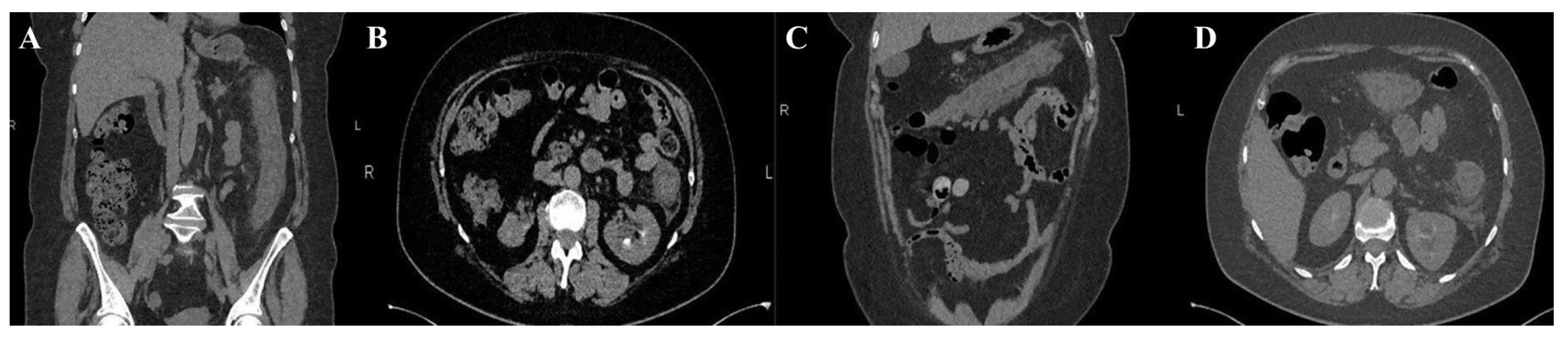 Preprints 98379 g002