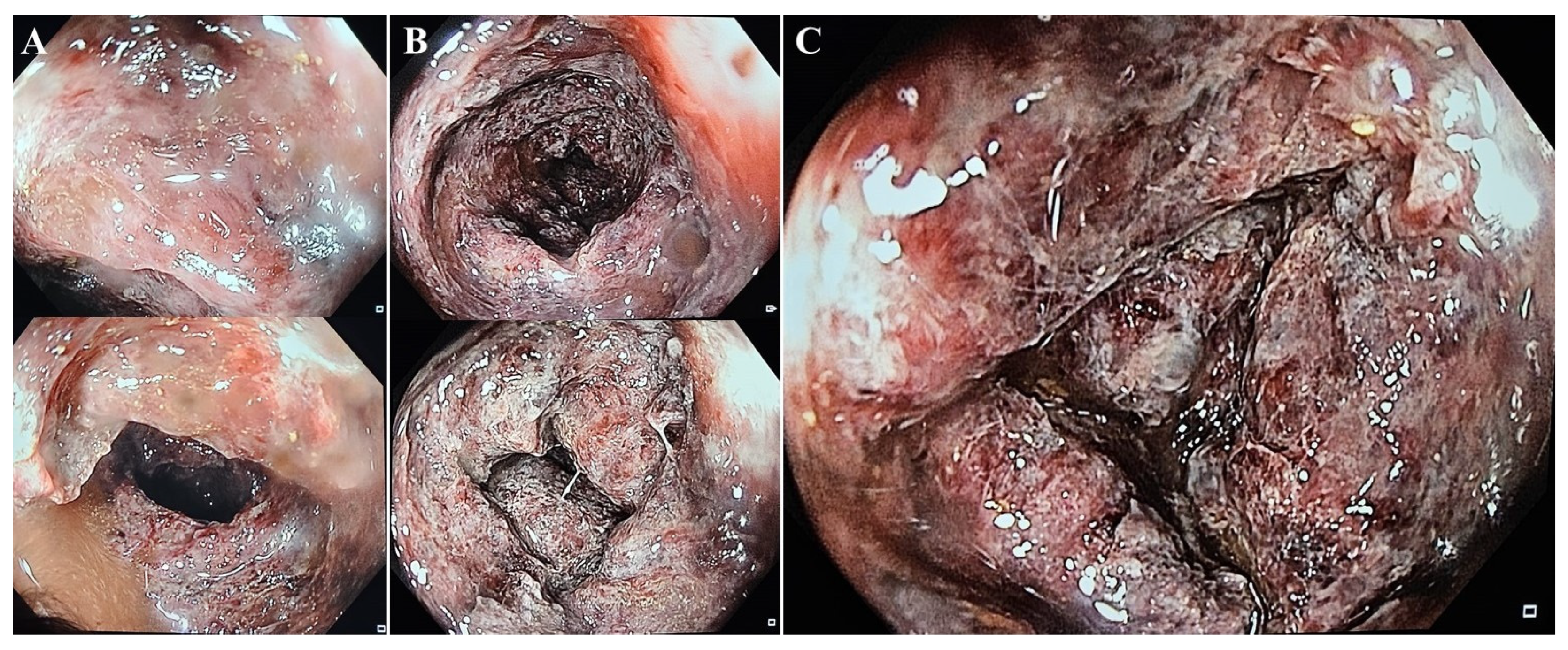Preprints 98379 g003