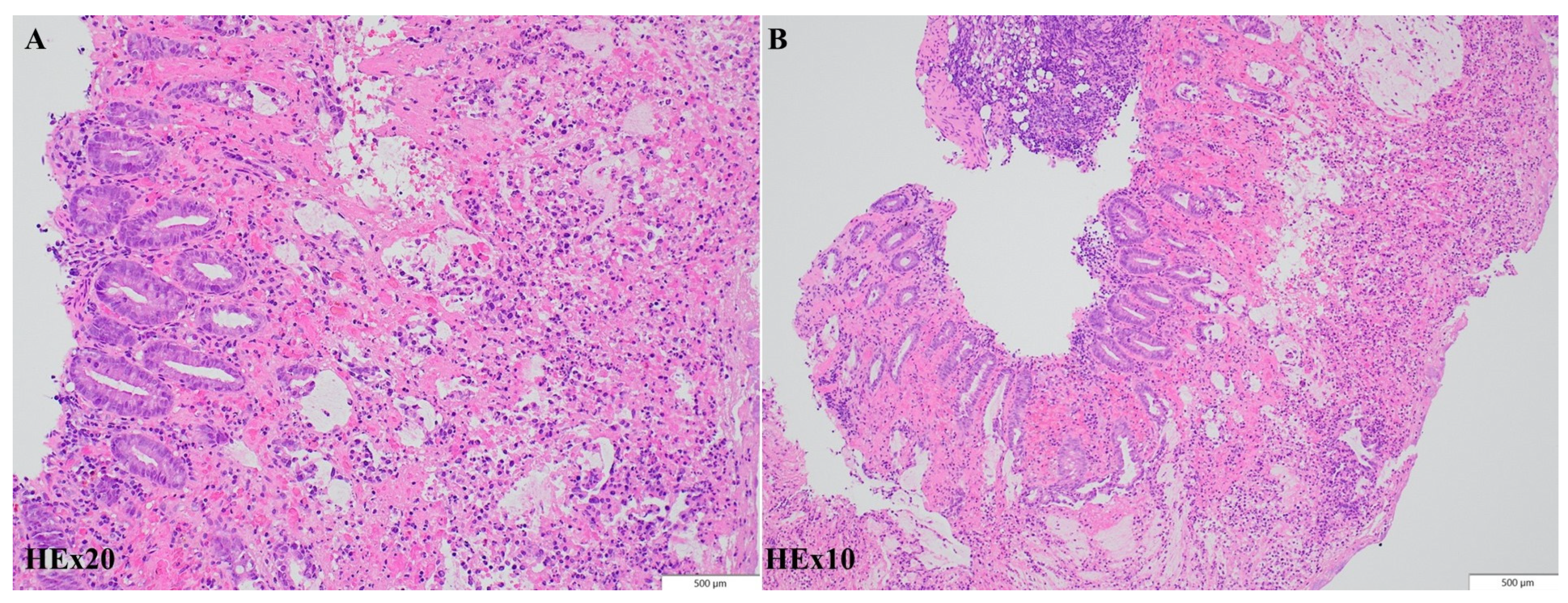 Preprints 98379 g004