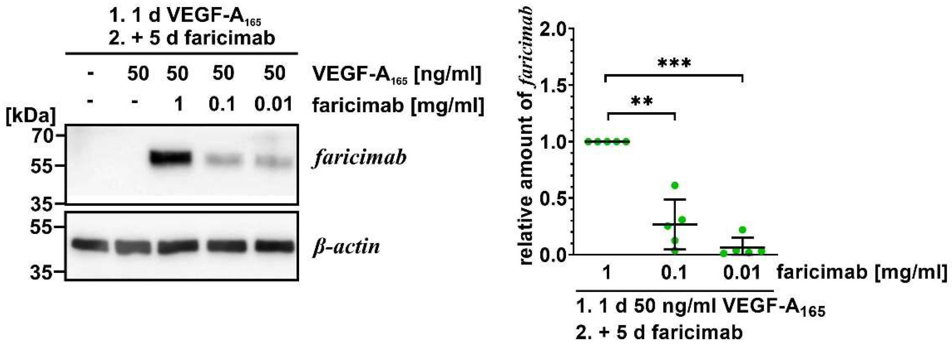 Preprints 152134 g001