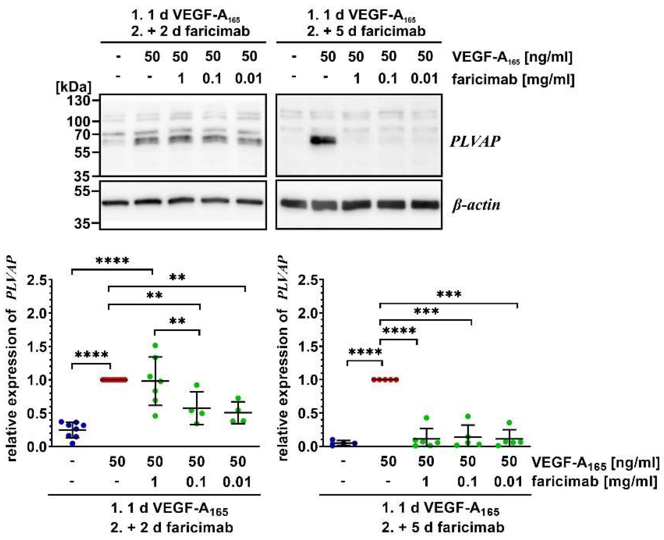 Preprints 152134 g005