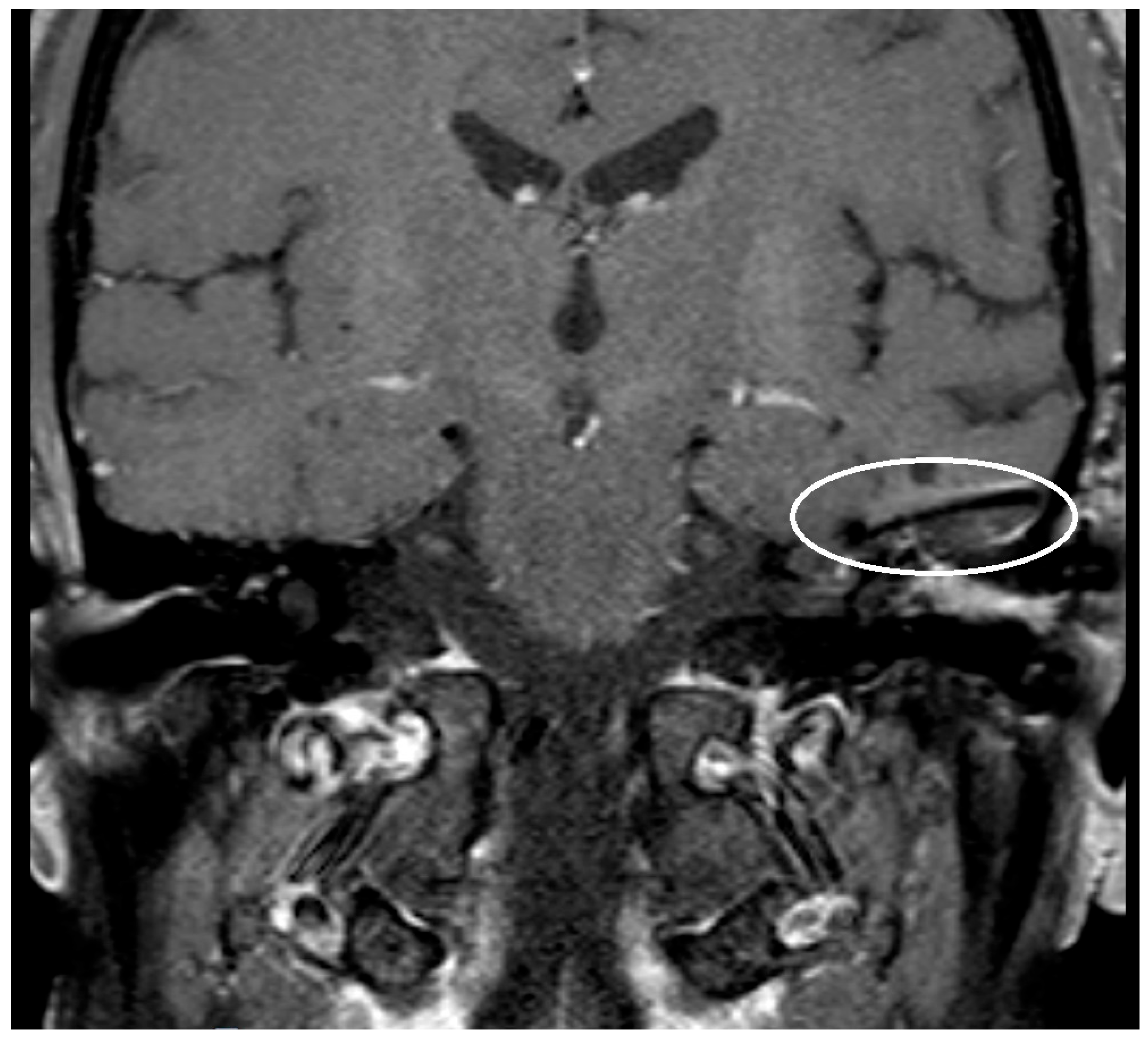 Preprints 151020 g001