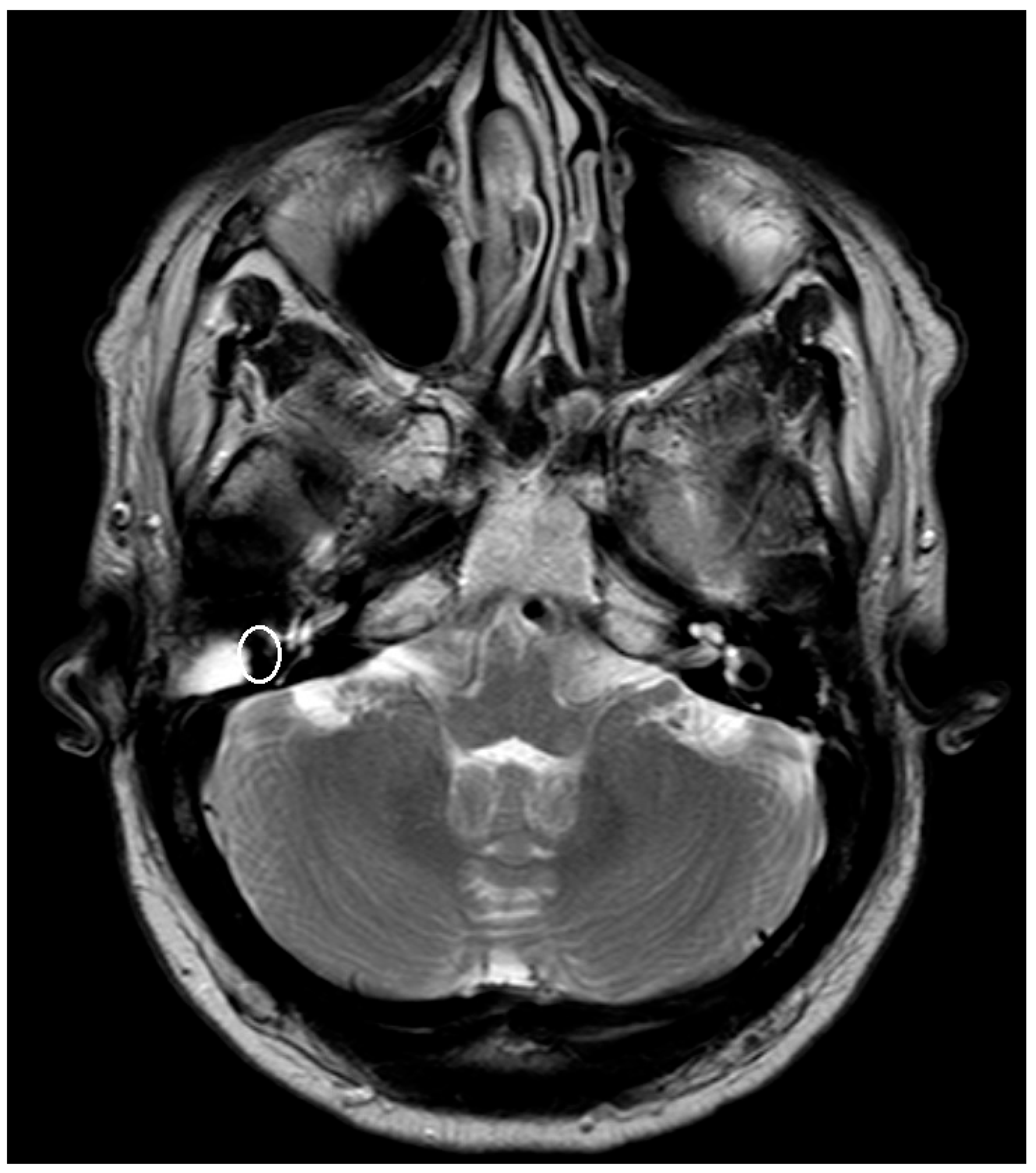 Preprints 151020 g002