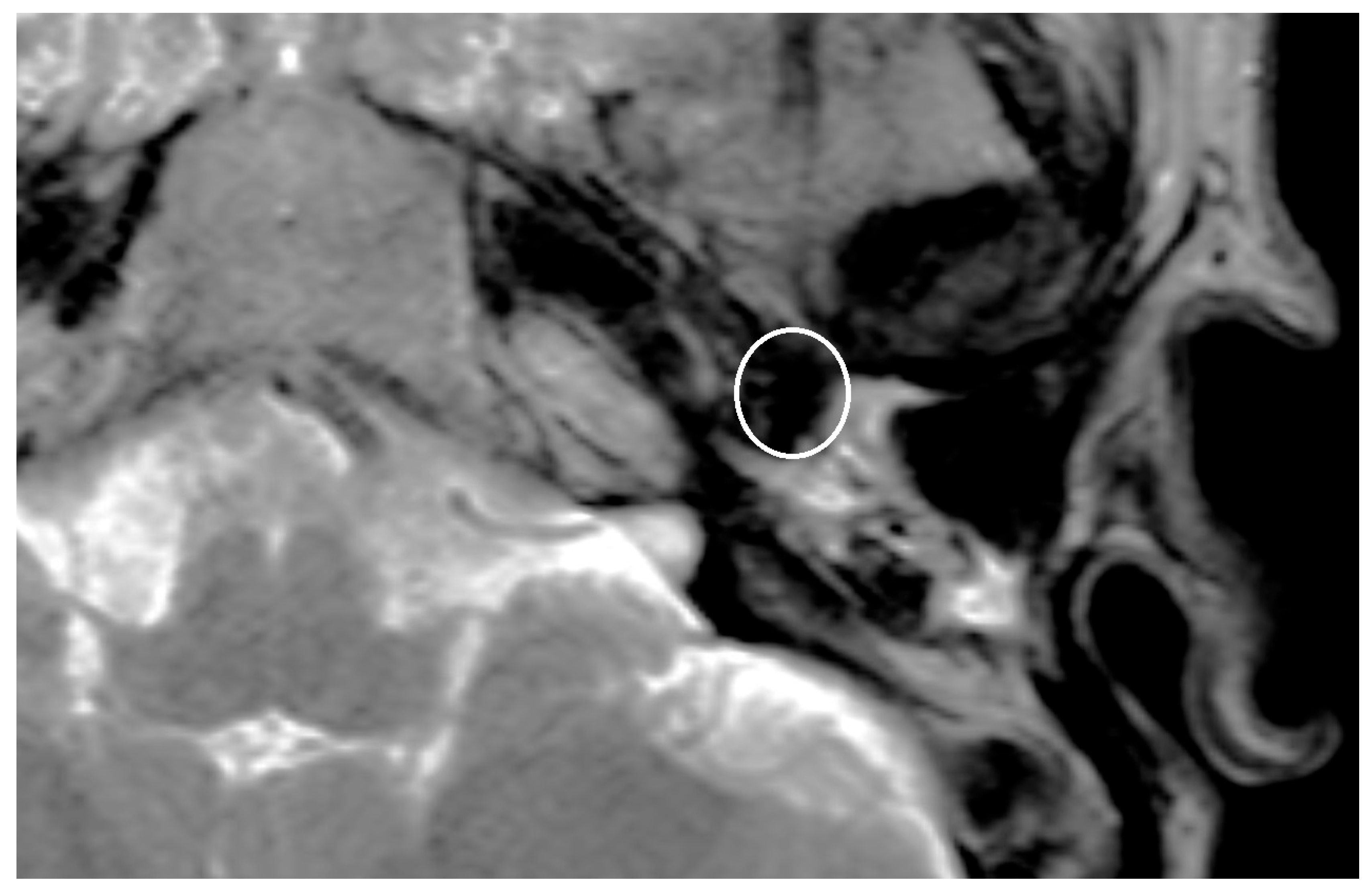 Preprints 151020 g003