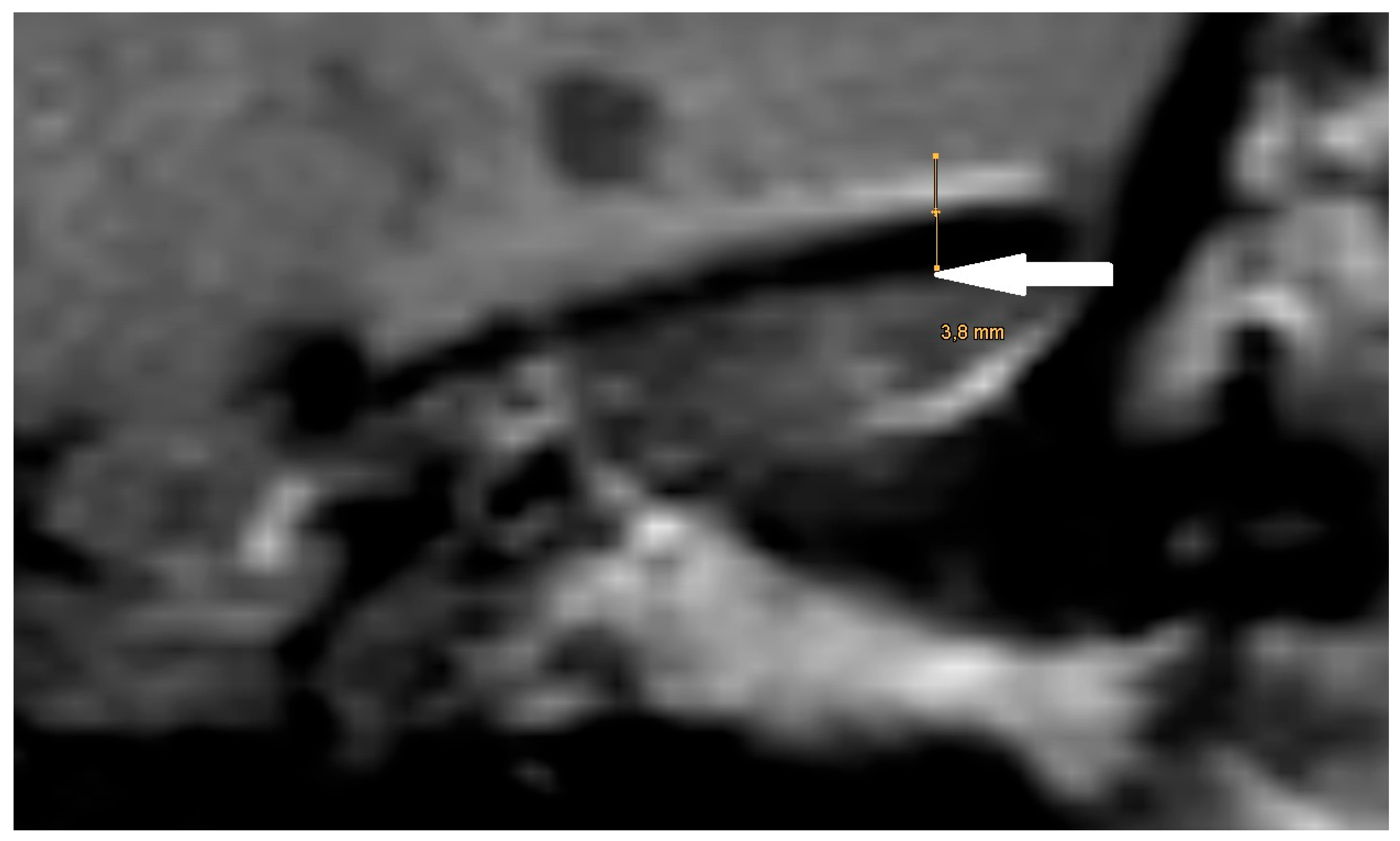 Preprints 151020 g004