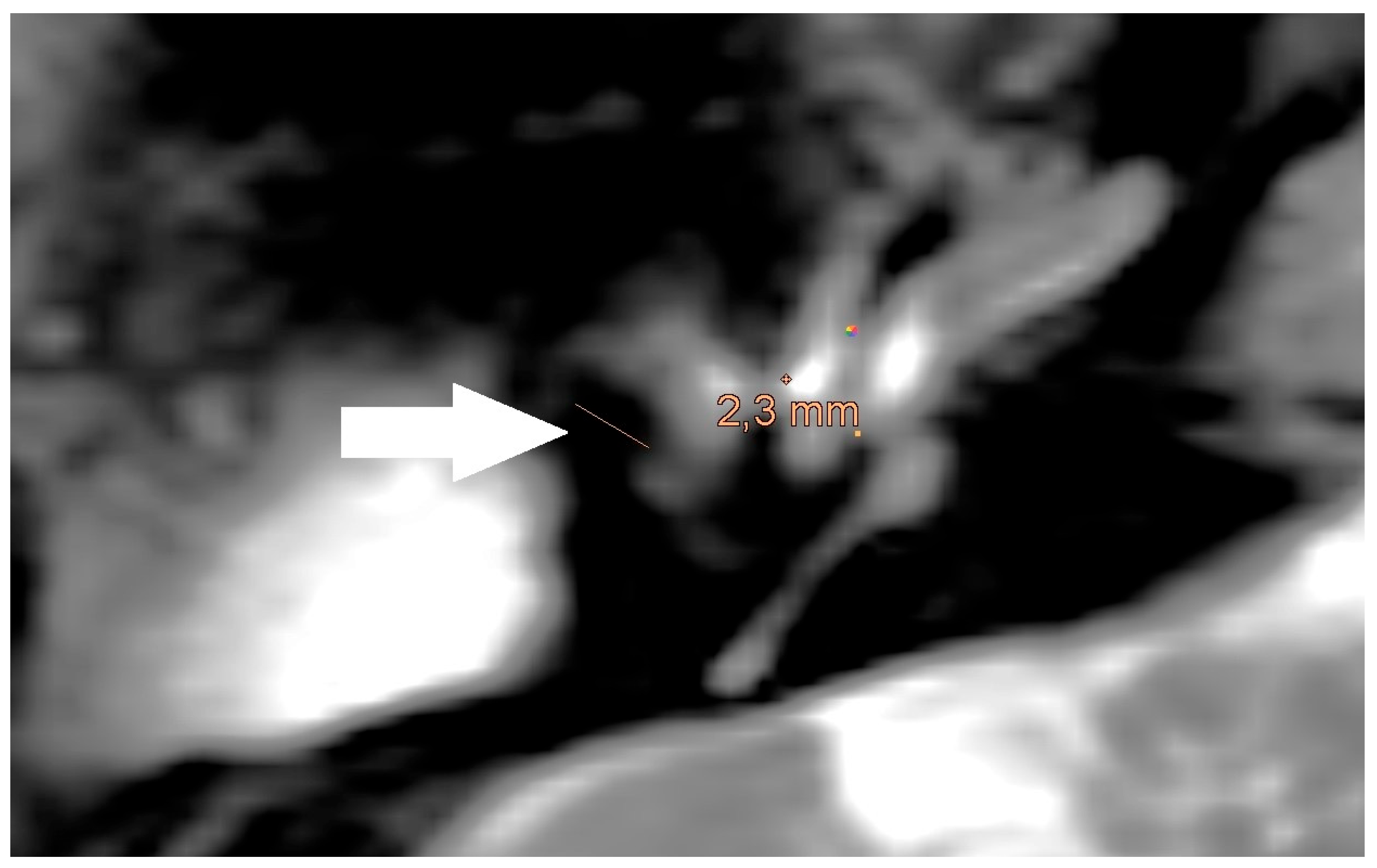 Preprints 151020 g005