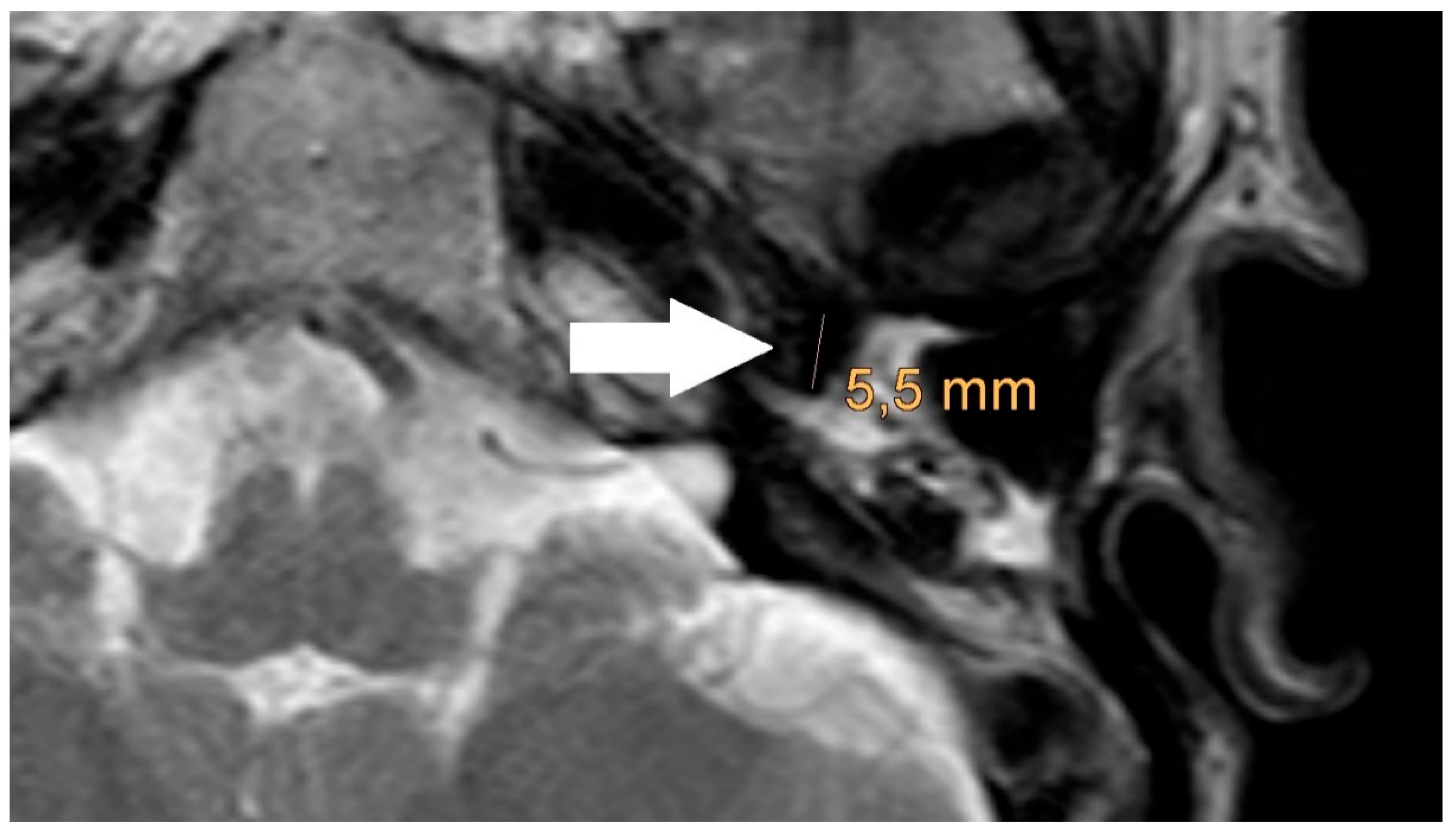 Preprints 151020 g006