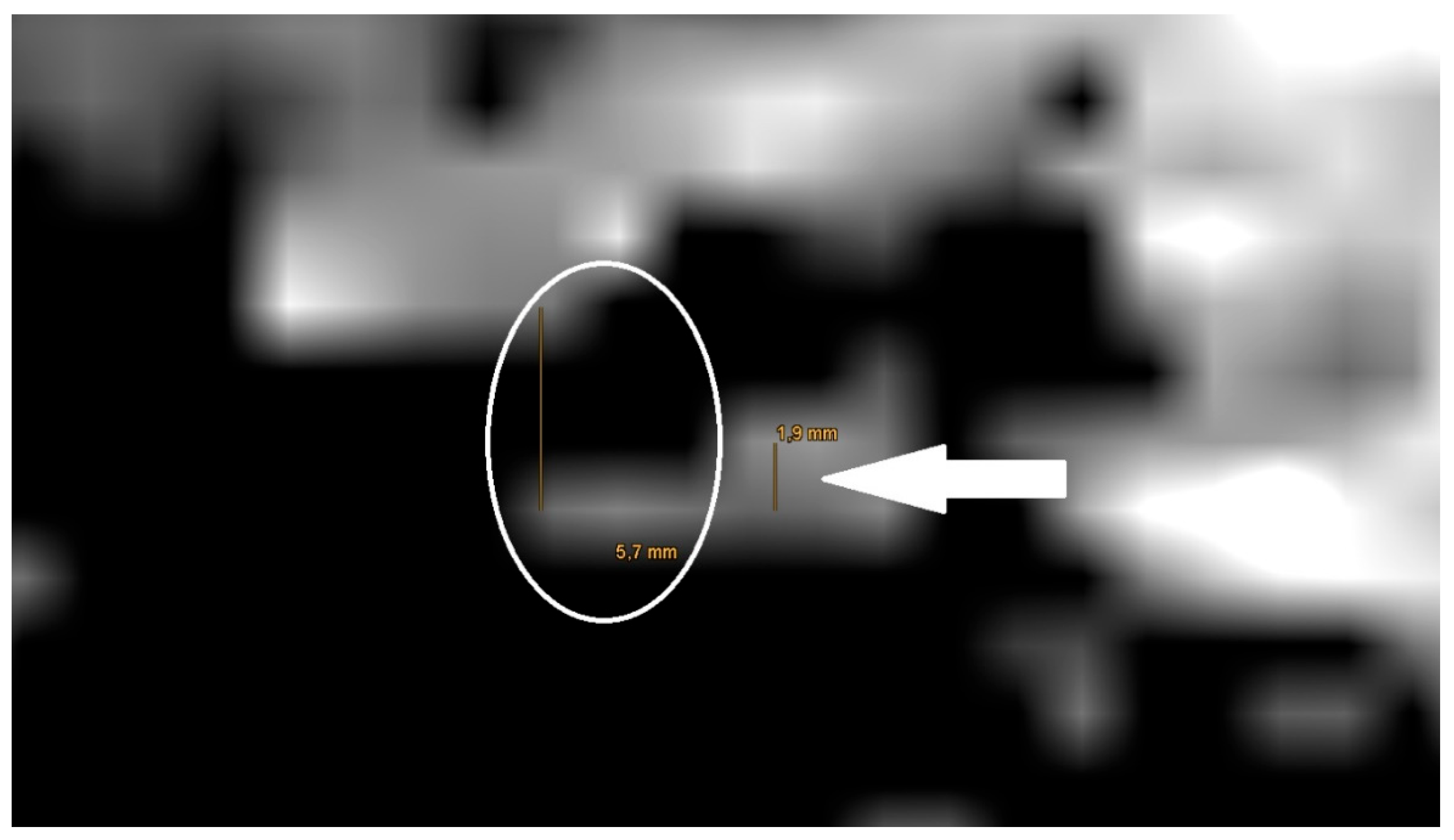 Preprints 151020 g007