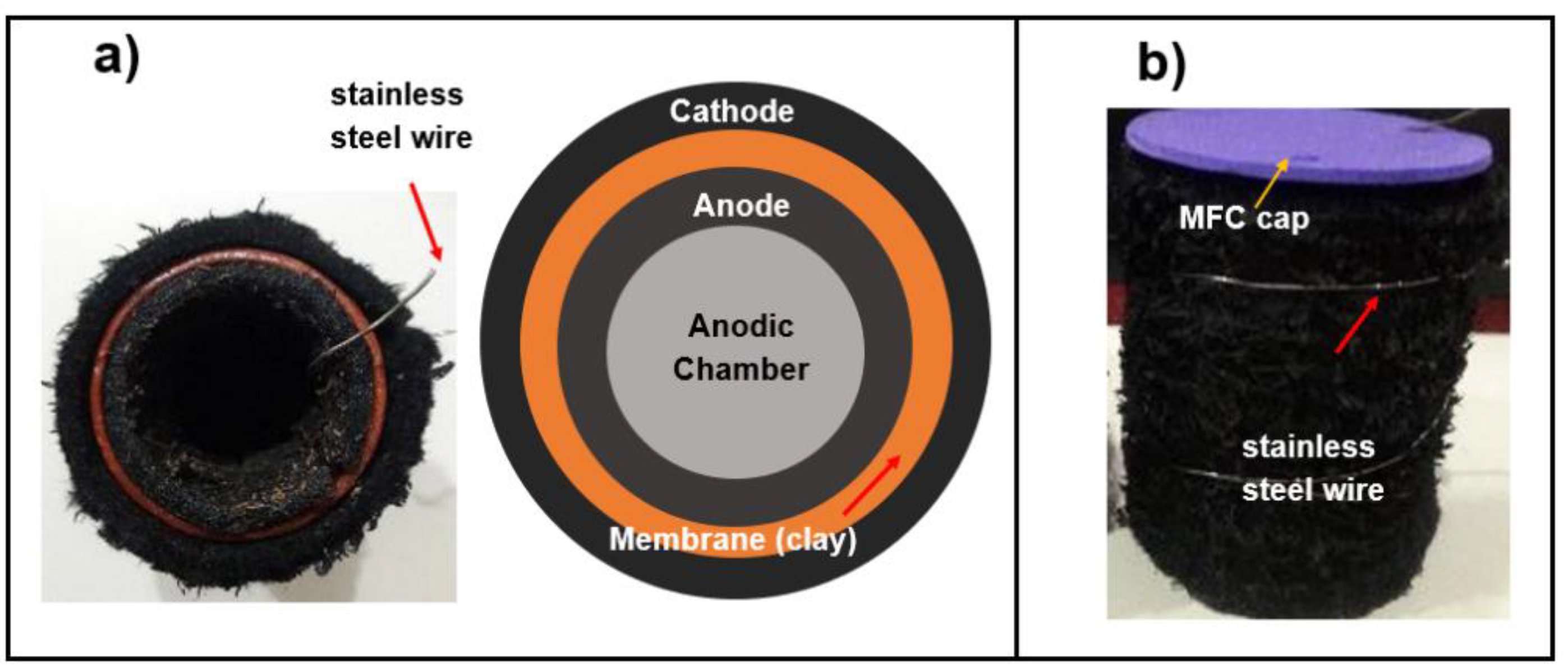 Preprints 151215 g001