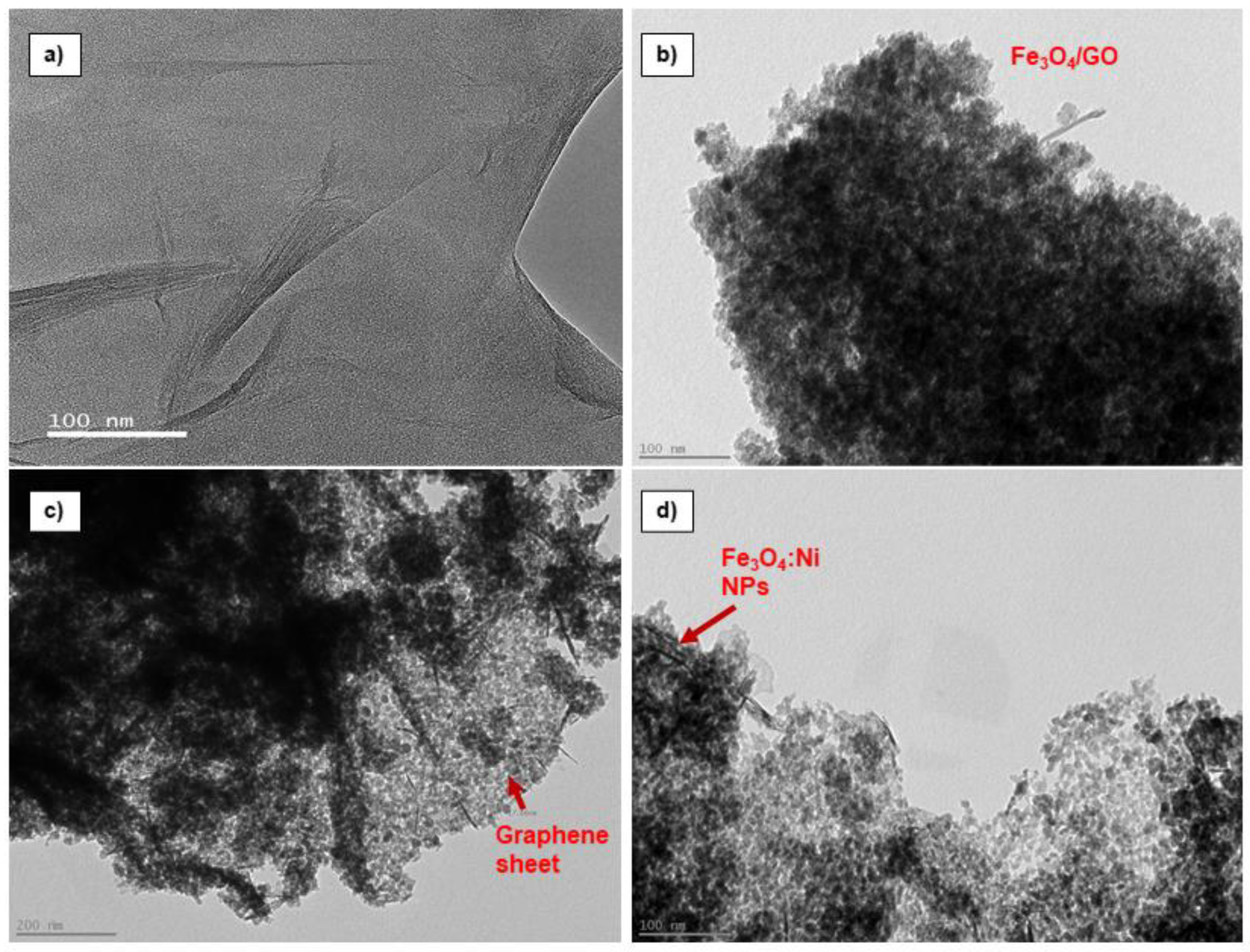 Preprints 151215 g011