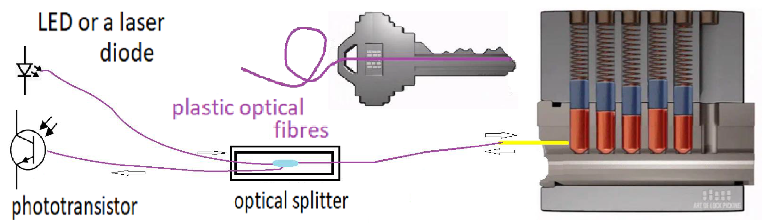 Preprints 210033 g001