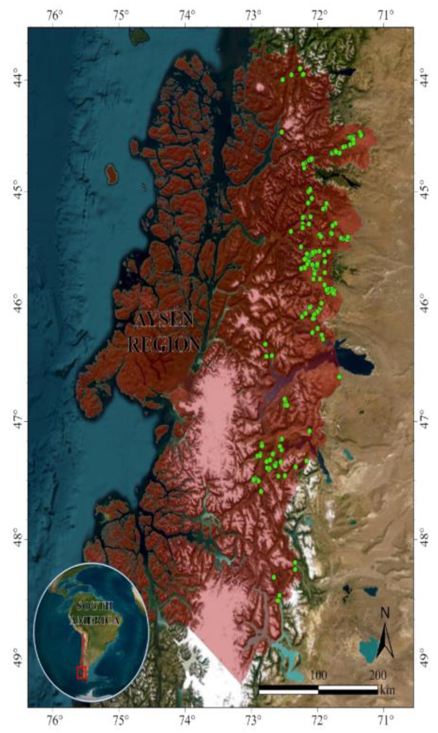 Preprints 156046 g001