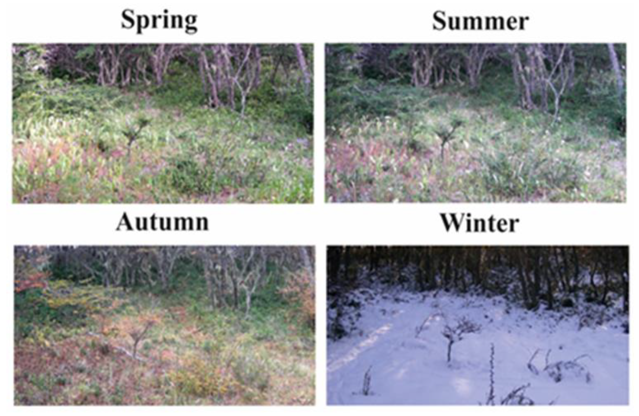 Preprints 156046 g007