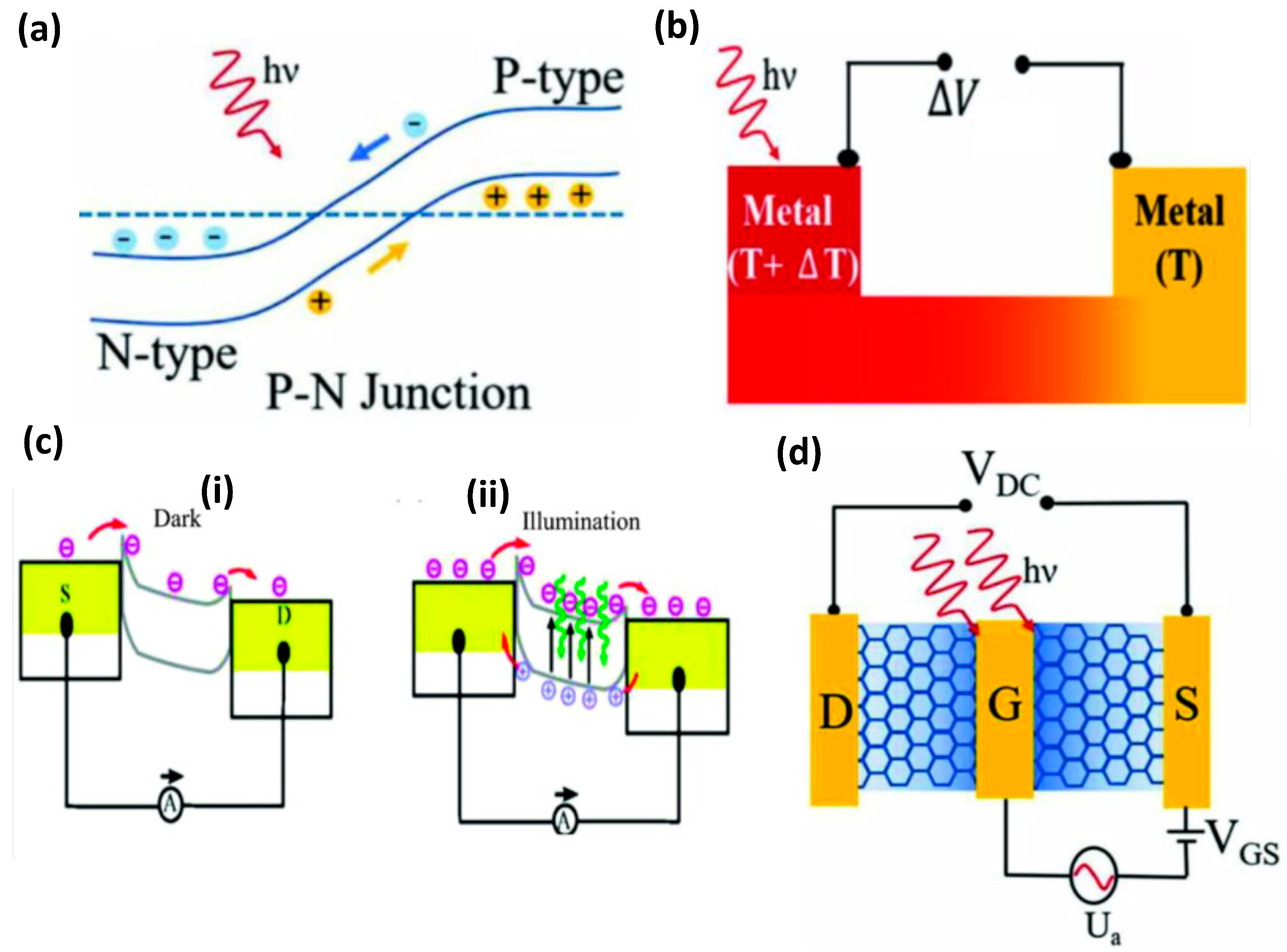 Preprints 161436 g001