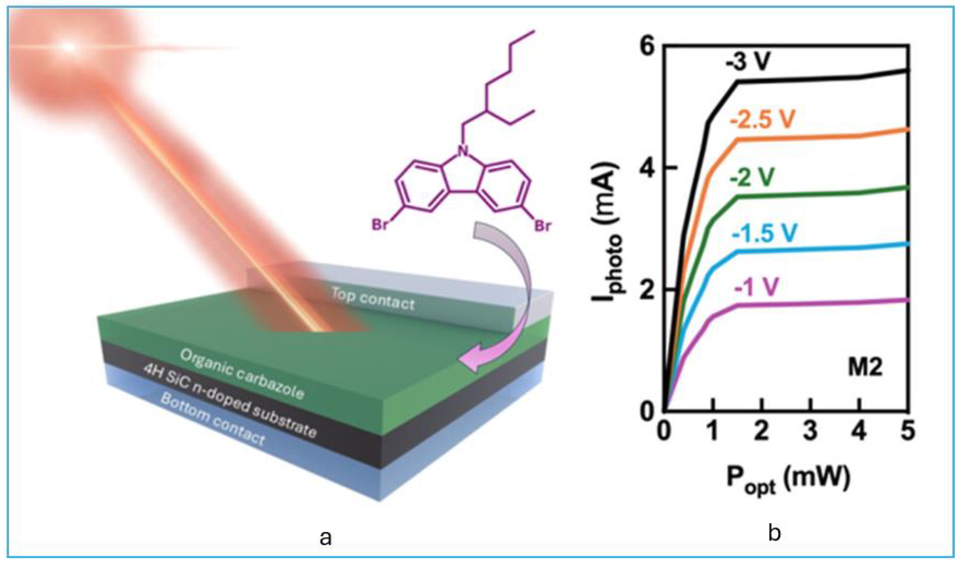 Preprints 161436 g006